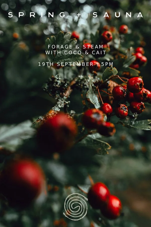 Forage &amp; Steam with Coco and Cait