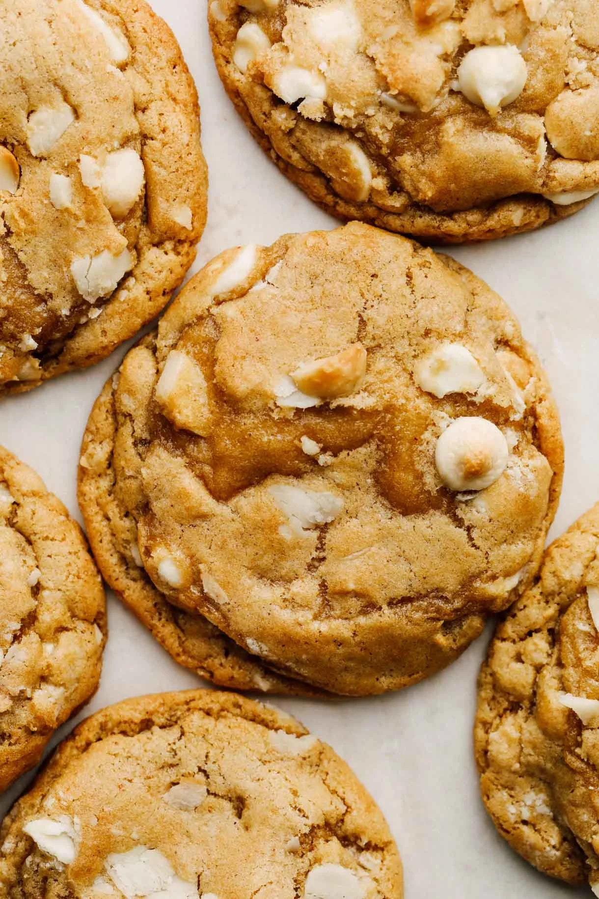 White Chocolate Macadamia Sourdough Cookies (6ct)