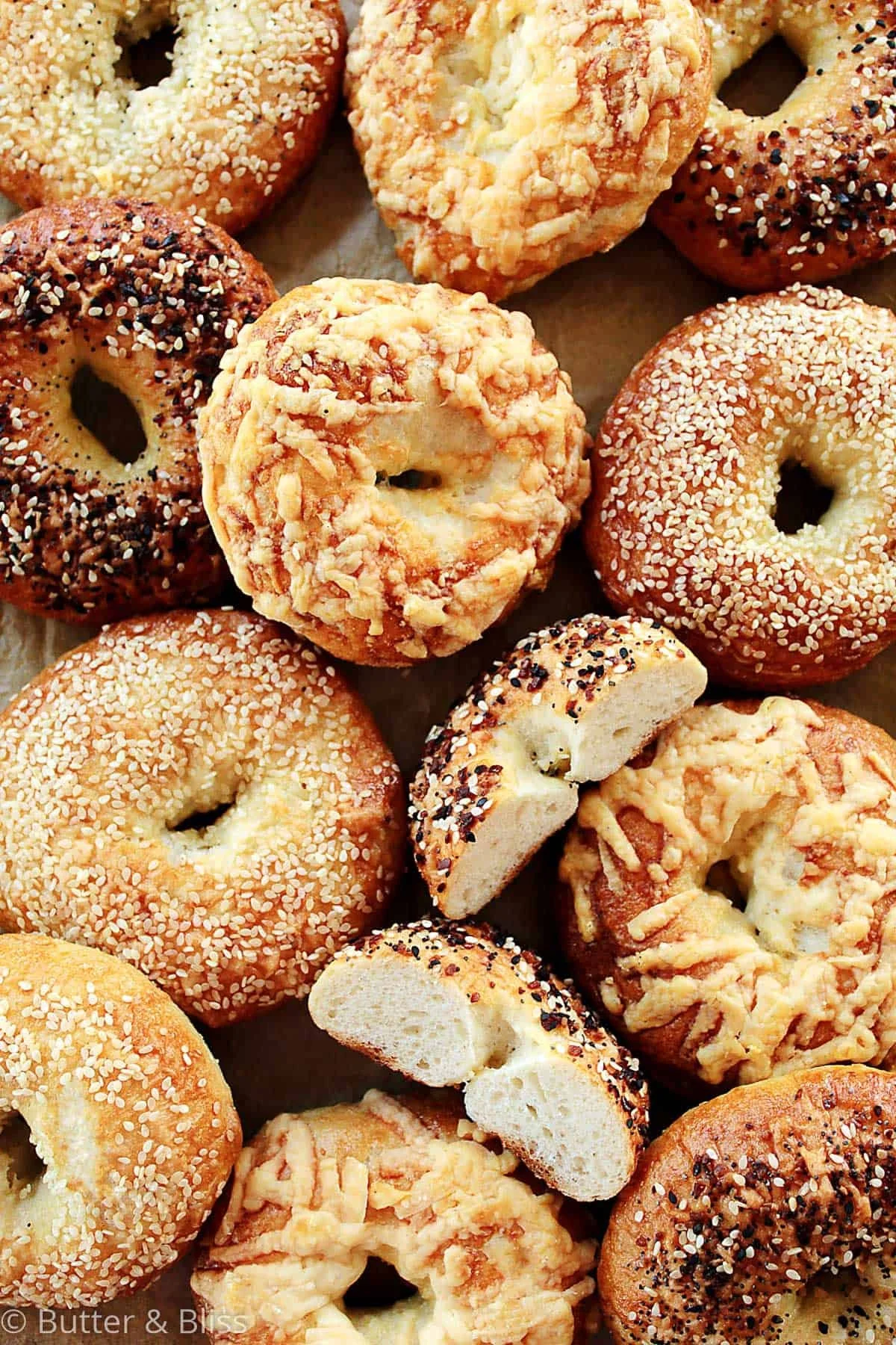 Sourdough Bagels (Variety Pack)