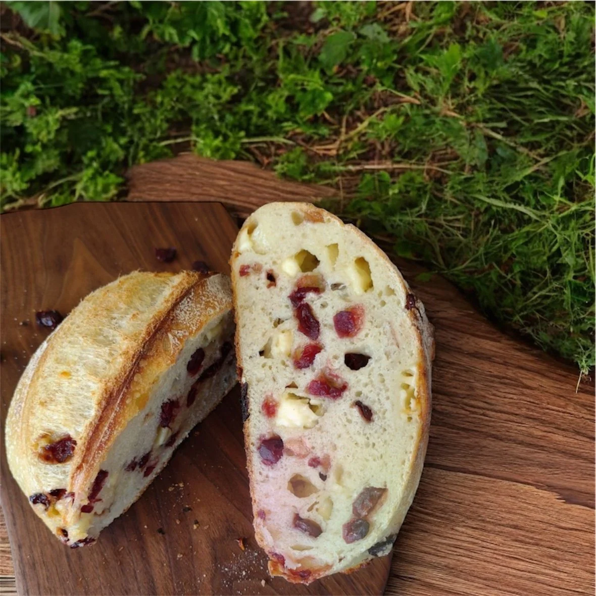 Cranberry Pepperjack Sourdough