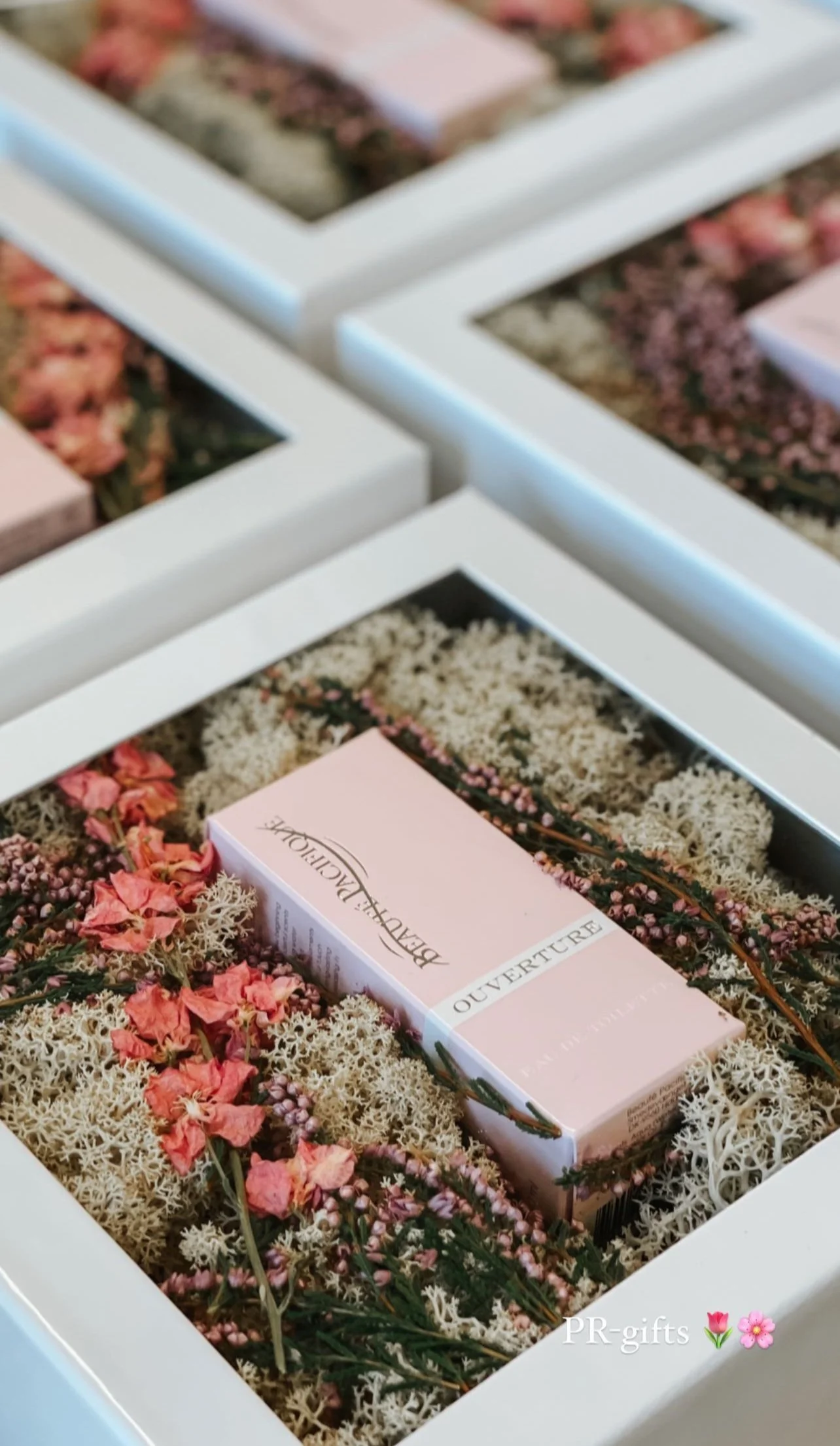 PR / Influencer kampagne