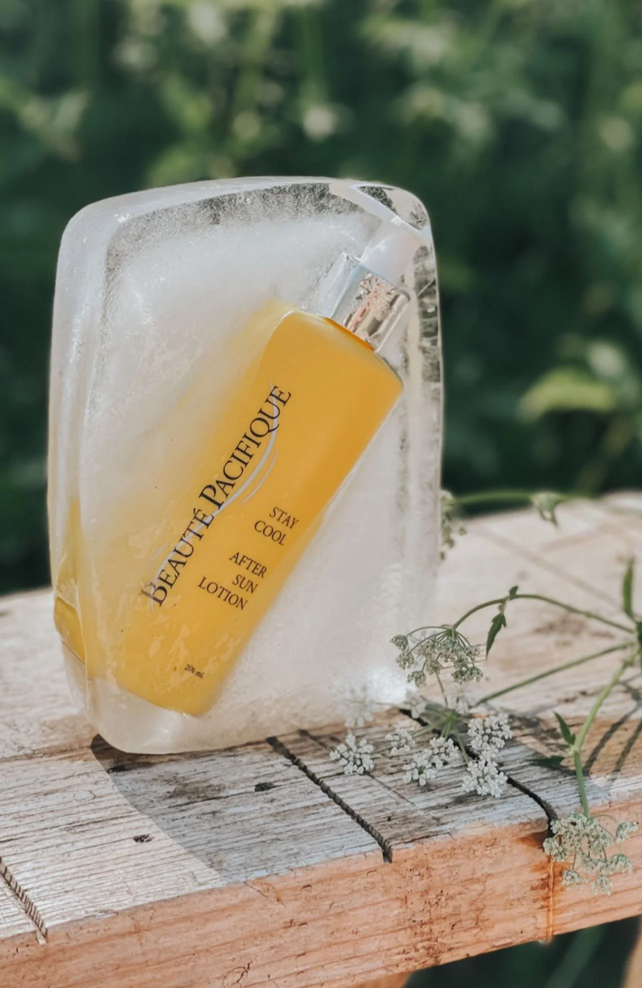 Foto / Content Creation