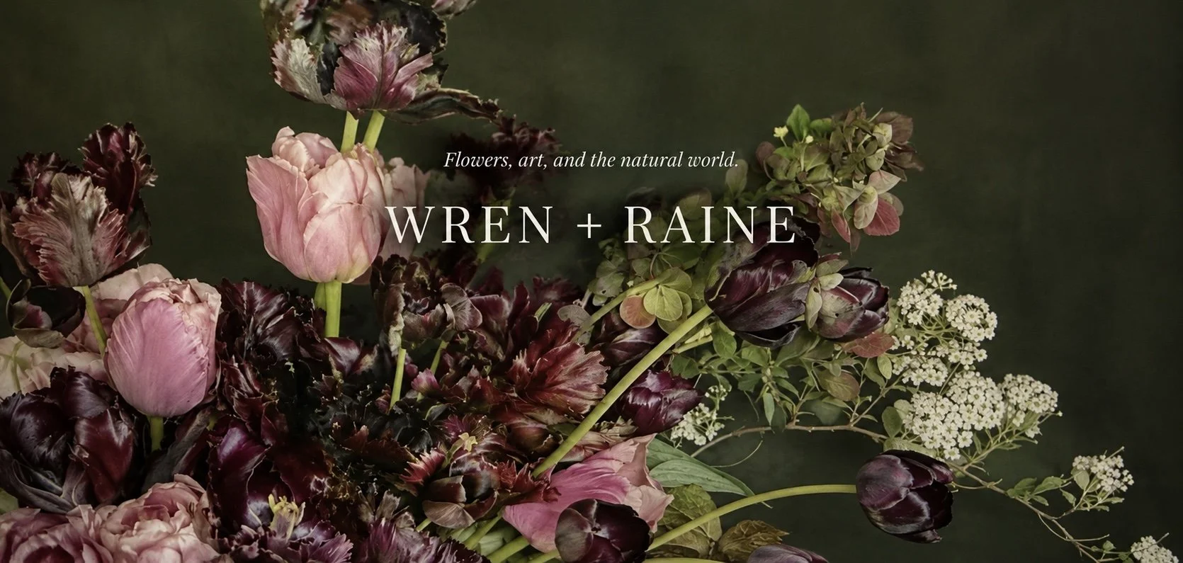 WRENRAINEHOME.jpg