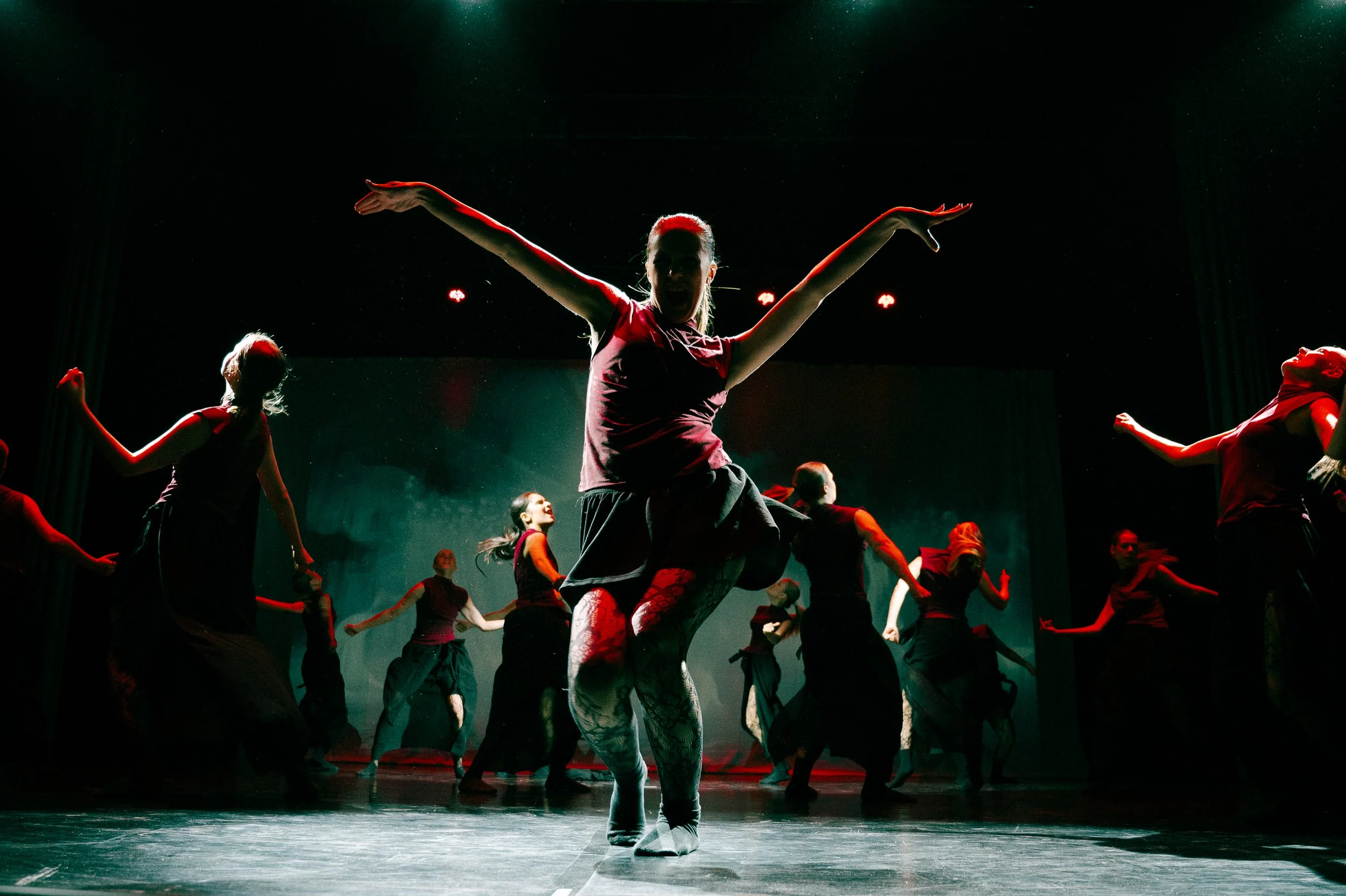 Hitta din danskurs till vårterminen