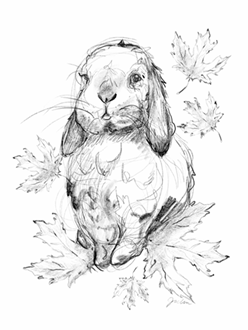 rendering of maple.png