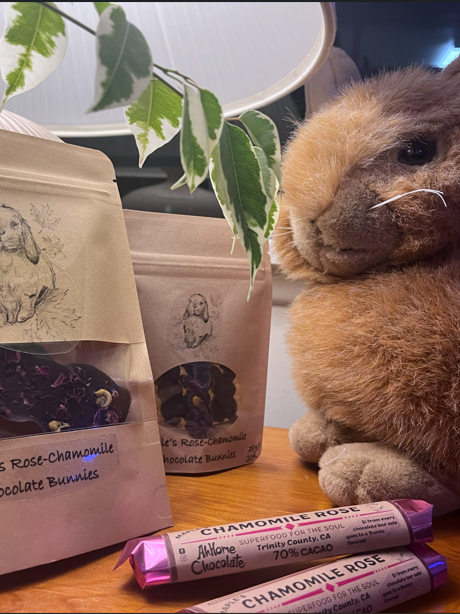 Screenshot+2026-04-02+141103.png (Copy)