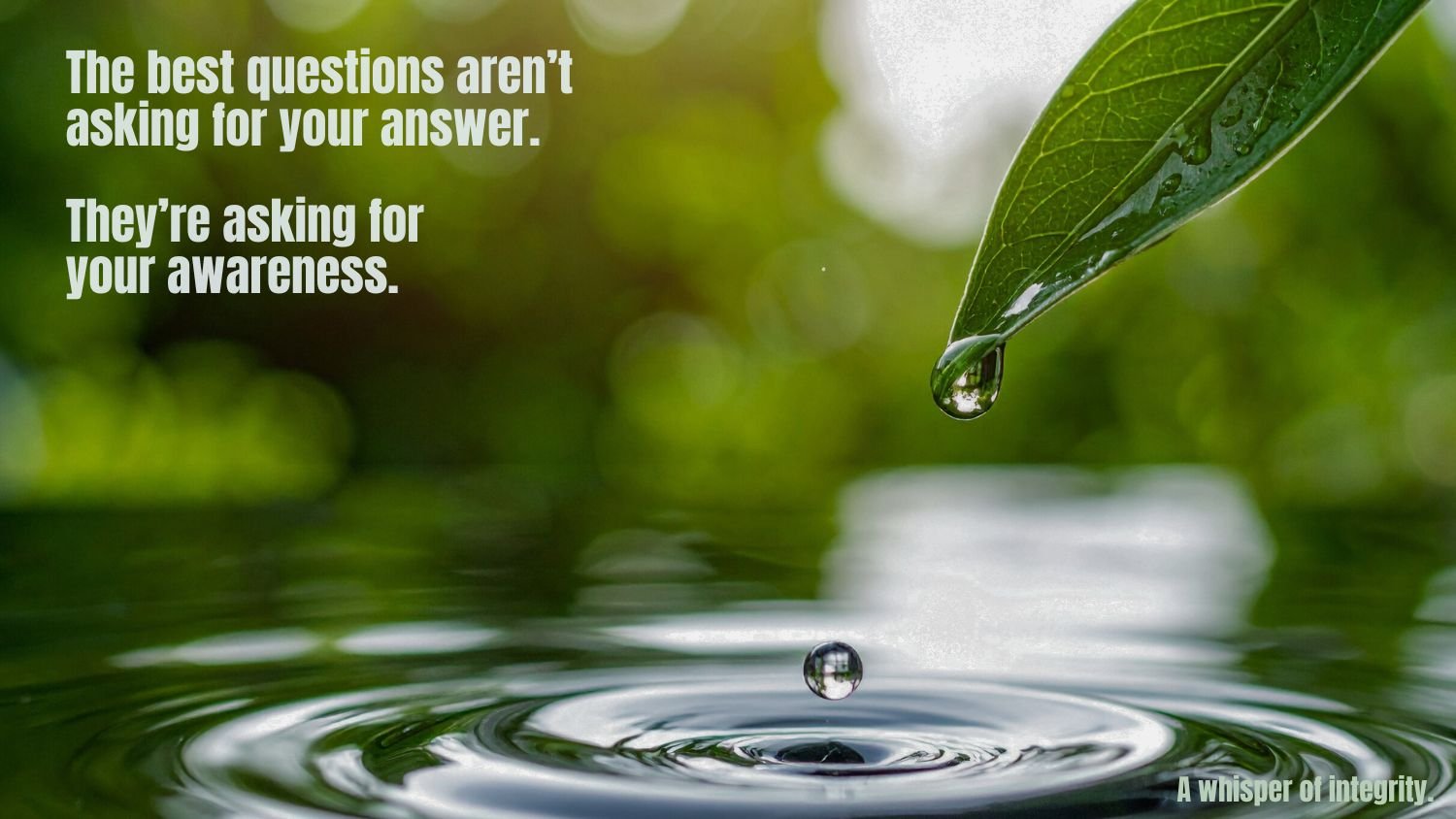 A Whisper of Integrity