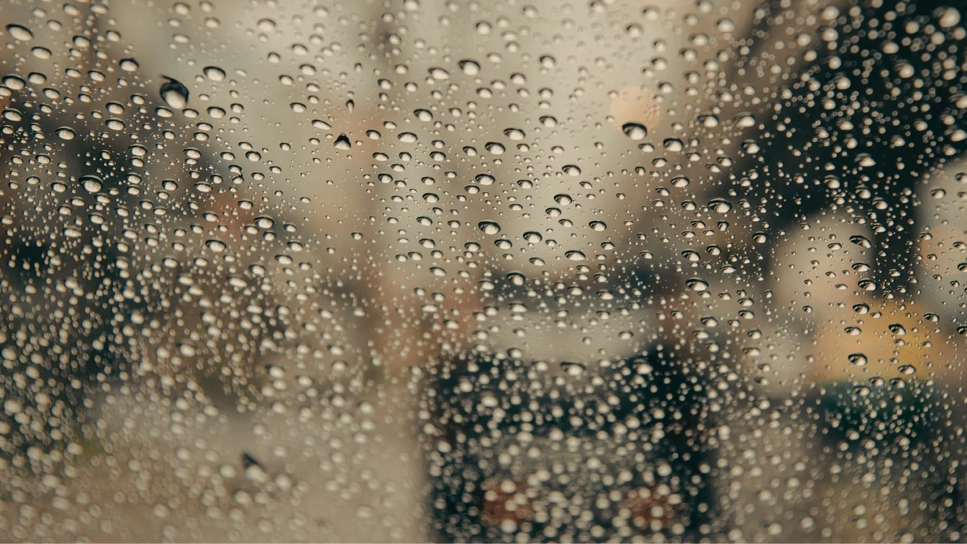 A Whisper of Wholeness