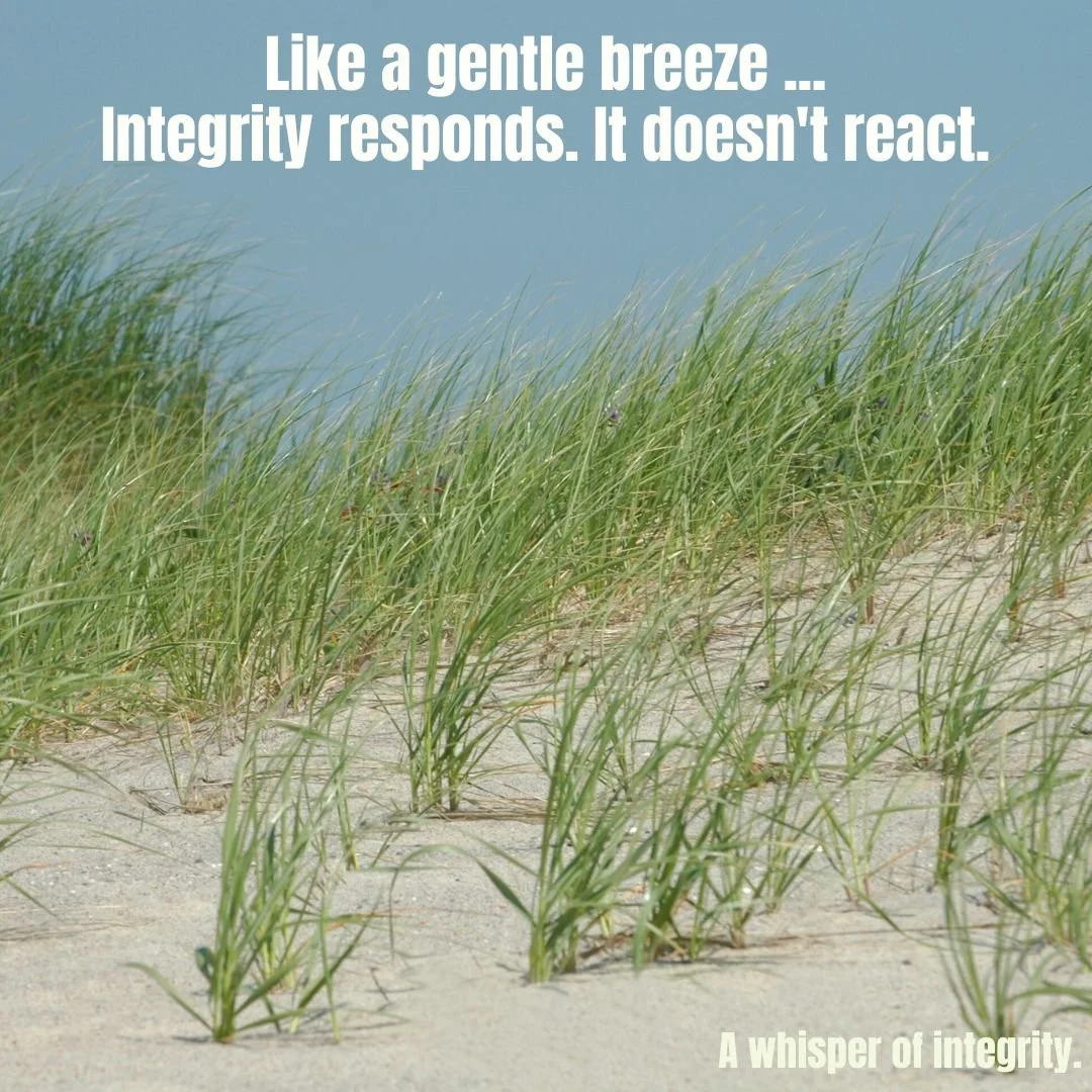 A Whisper of Wholeness