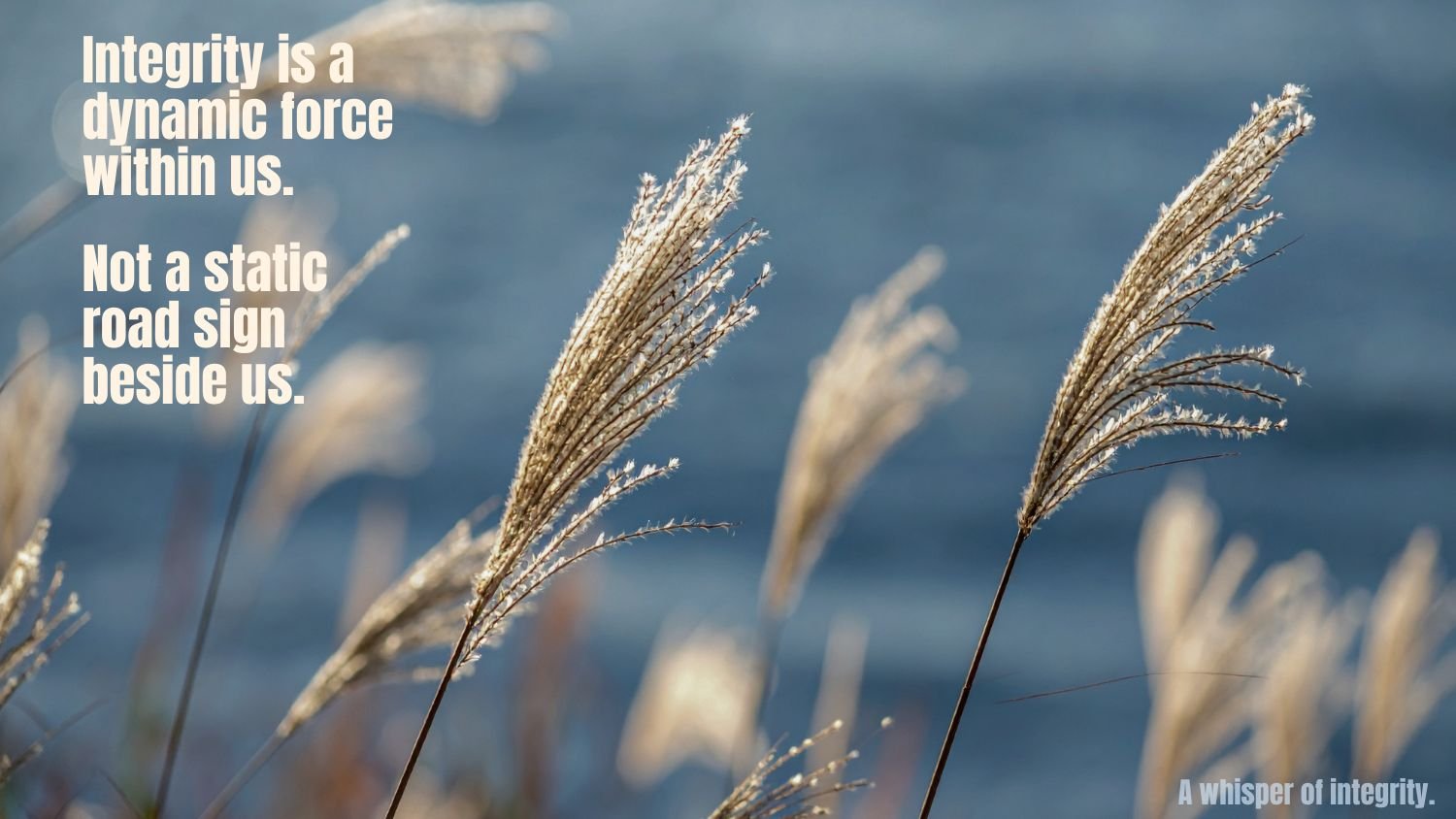 A Whisper of Integrity