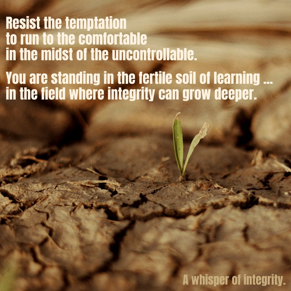 A Whisper of Wholeness