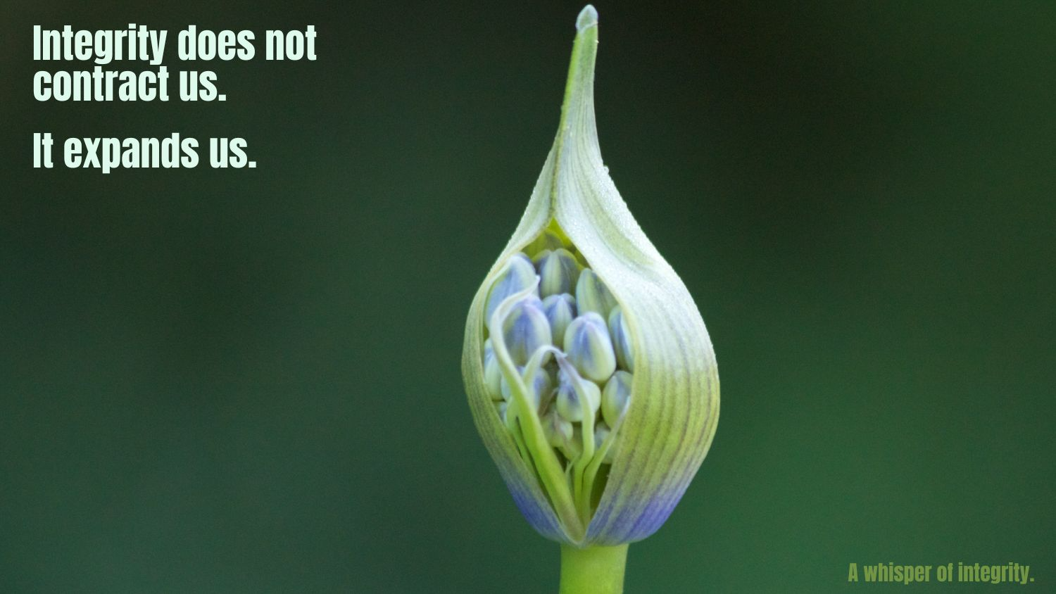 A Whisper of Integrity