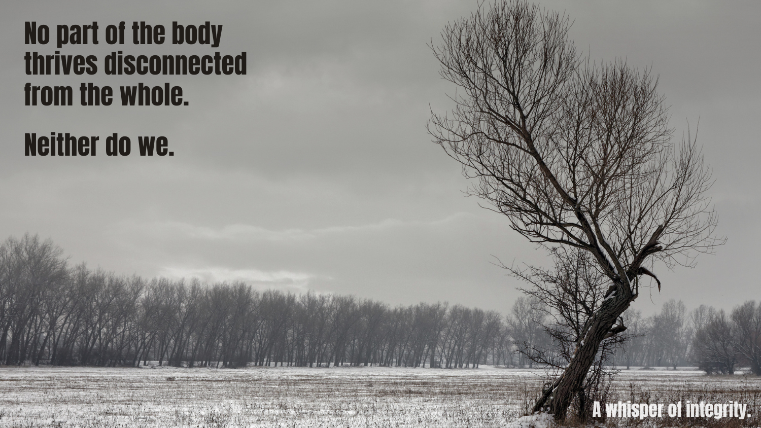 A Whisper of Integrity