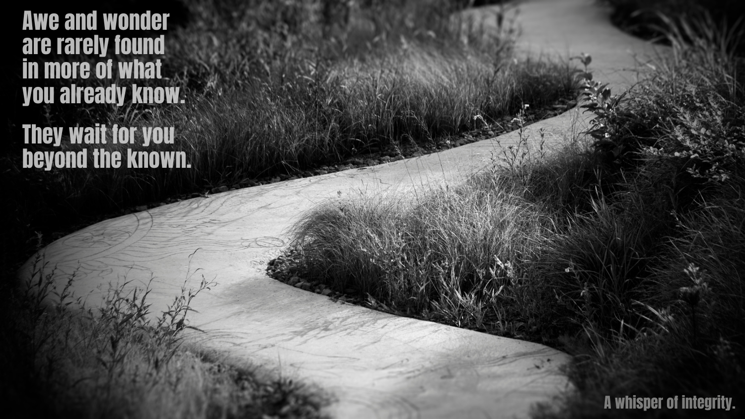 A Whisper of Integrity