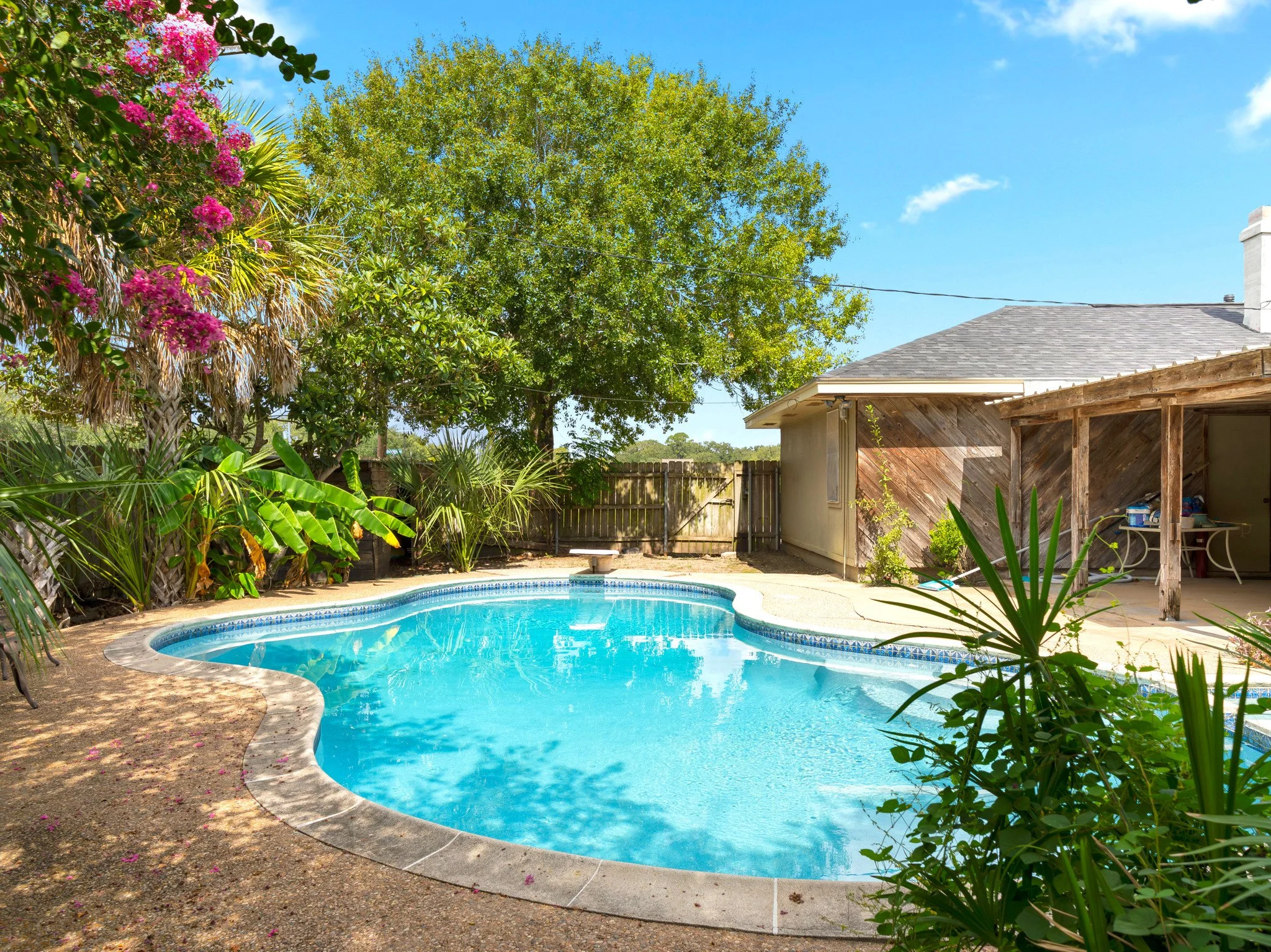 A backyard swimming pool surrounded by lush green trees and plants, with a wooden fence and a house with a gray roof and beige walls in the background.
