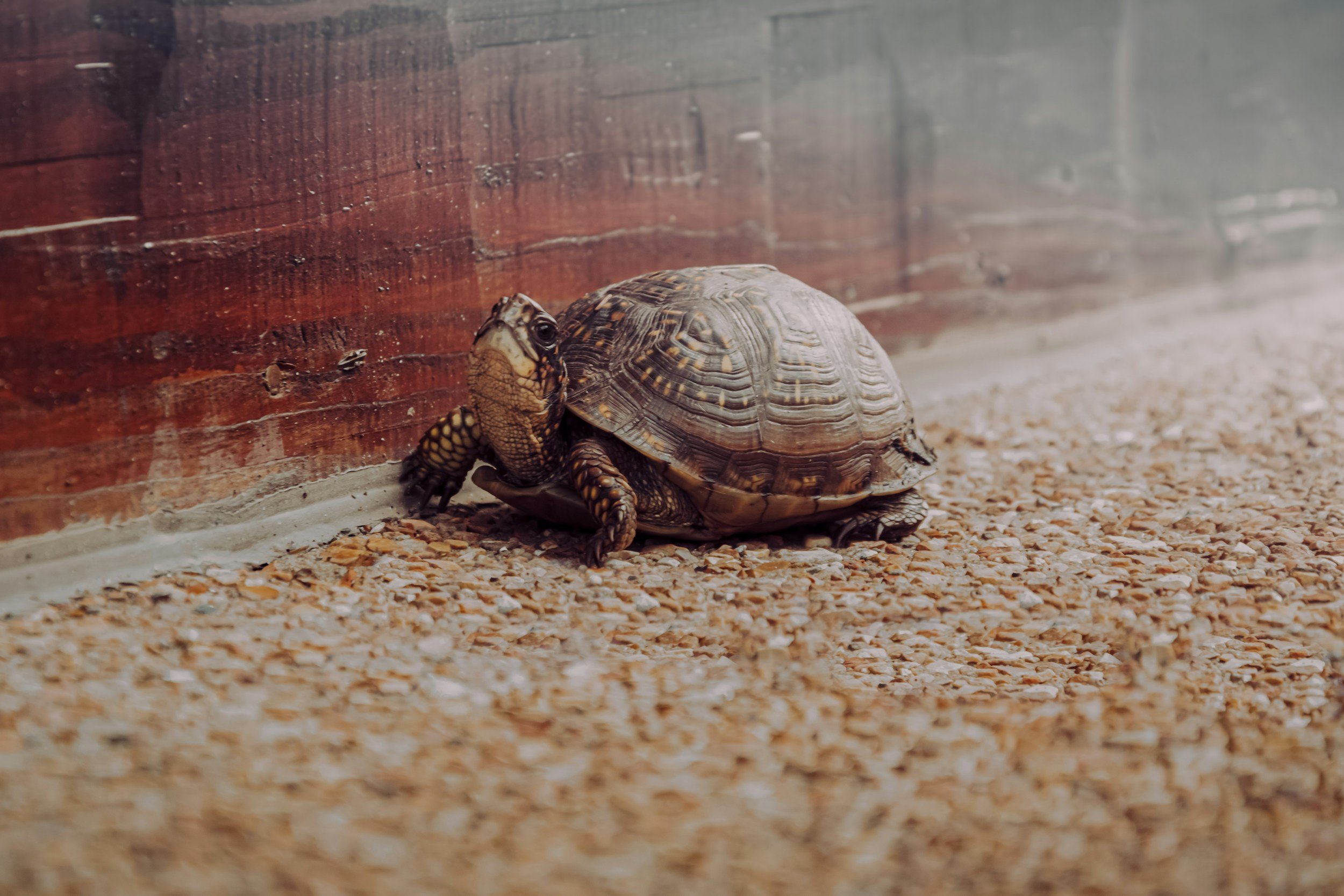 The Space Between Doing and Being: Learning to Slow Down in Therapy (and Life)
