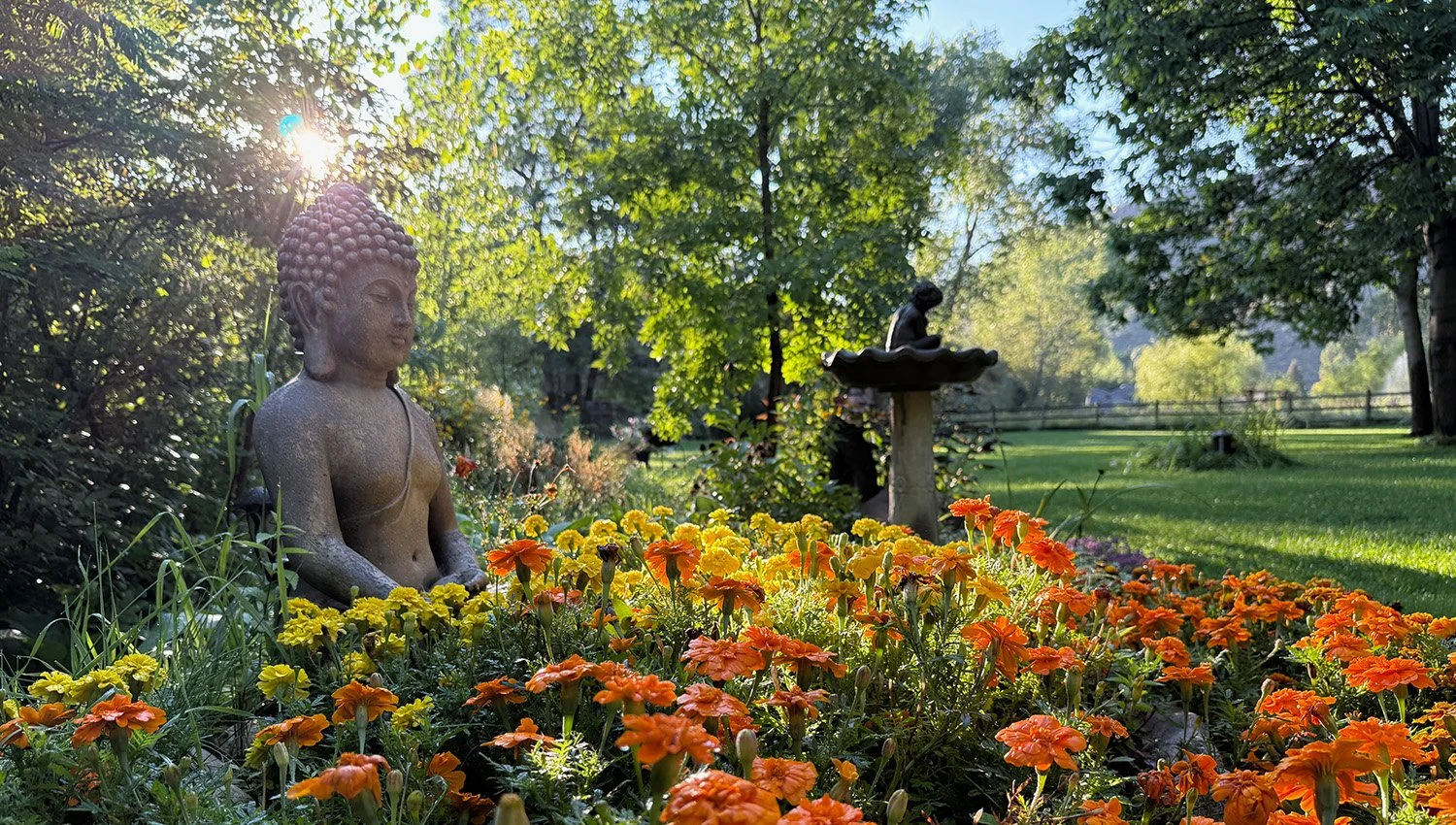 Buddha-garden_01.jpg
