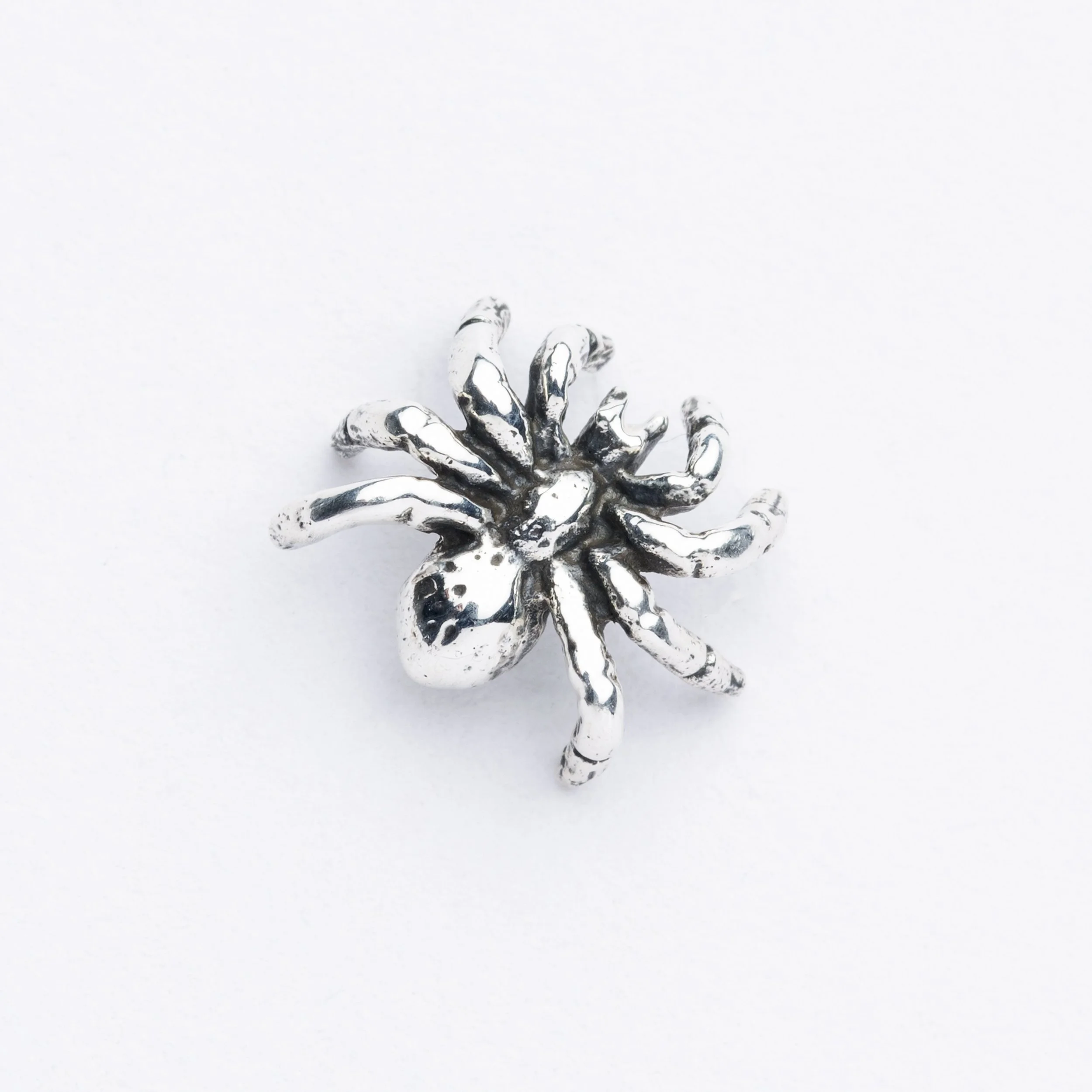 ©Lemur Studio-13.JPG