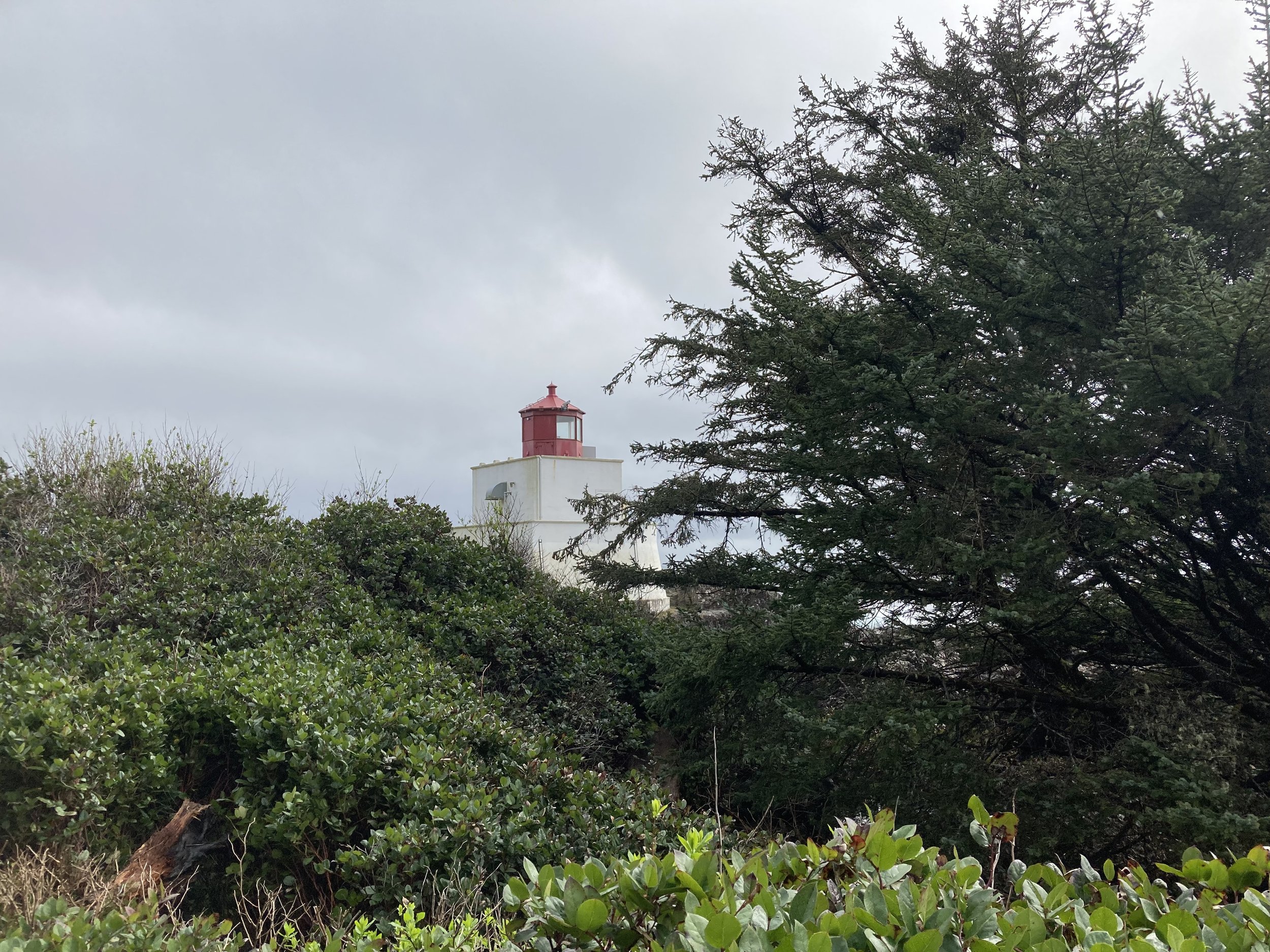 IMG_1820.jpeg