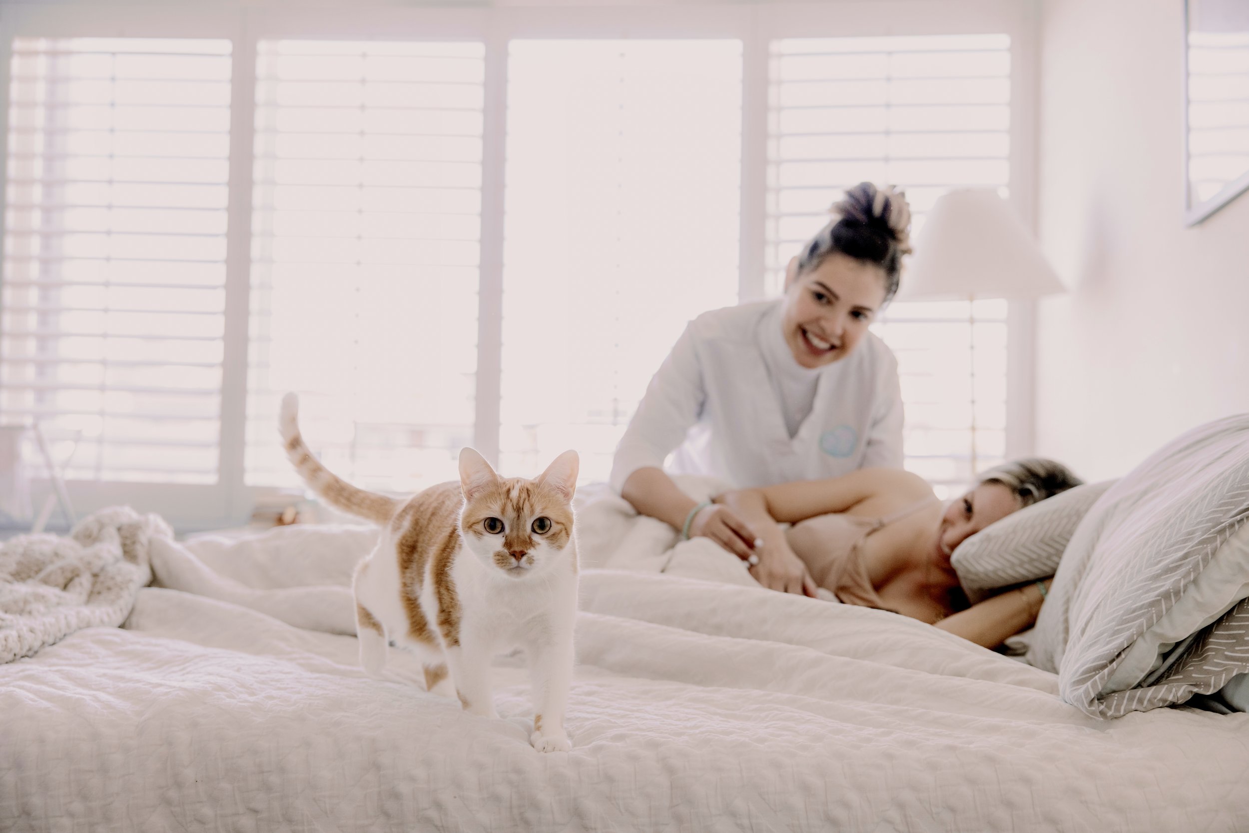 Doula support while breastfeeding with cat on bed.jpg