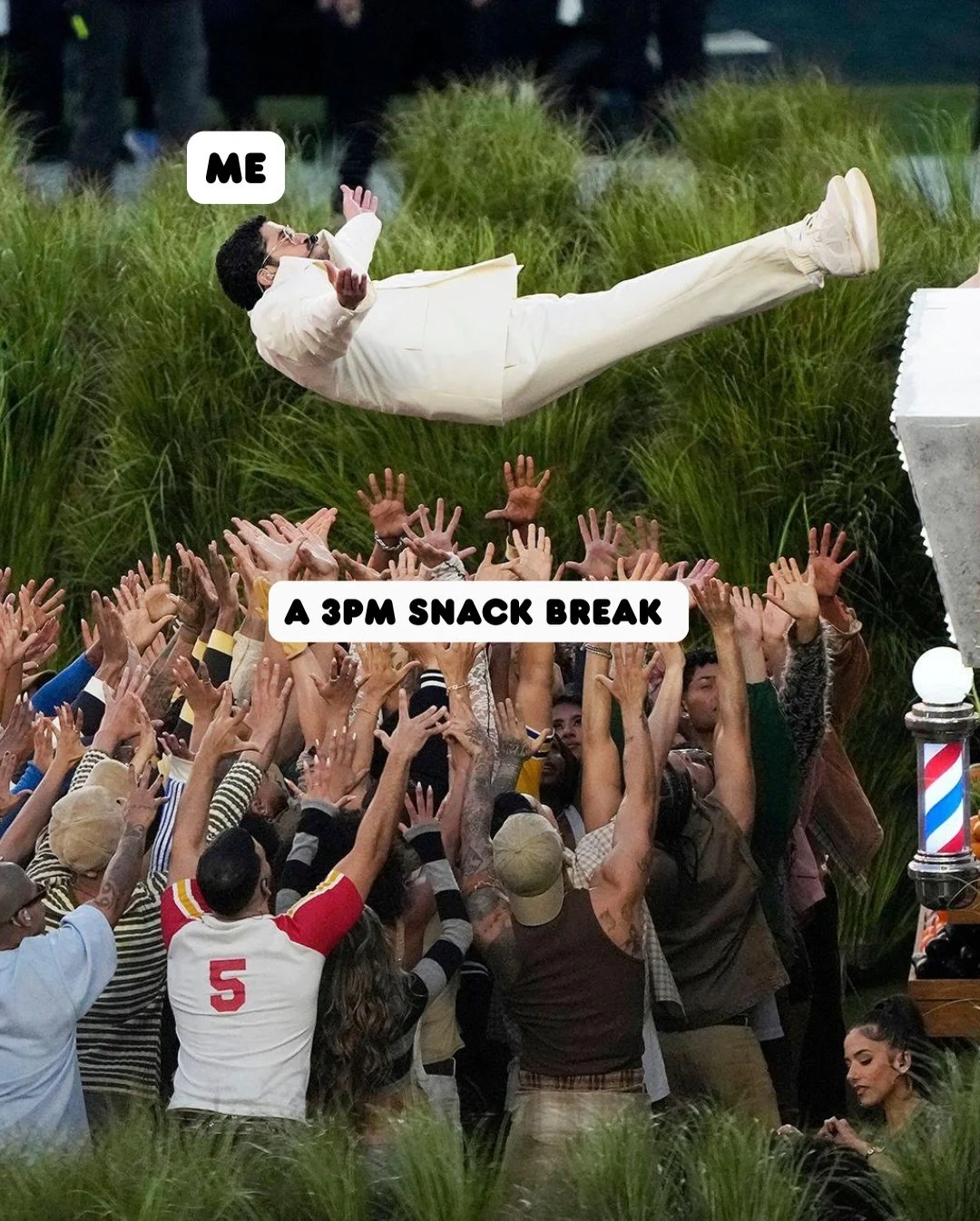 In case you missed the Super Bowl last night 👀🏈