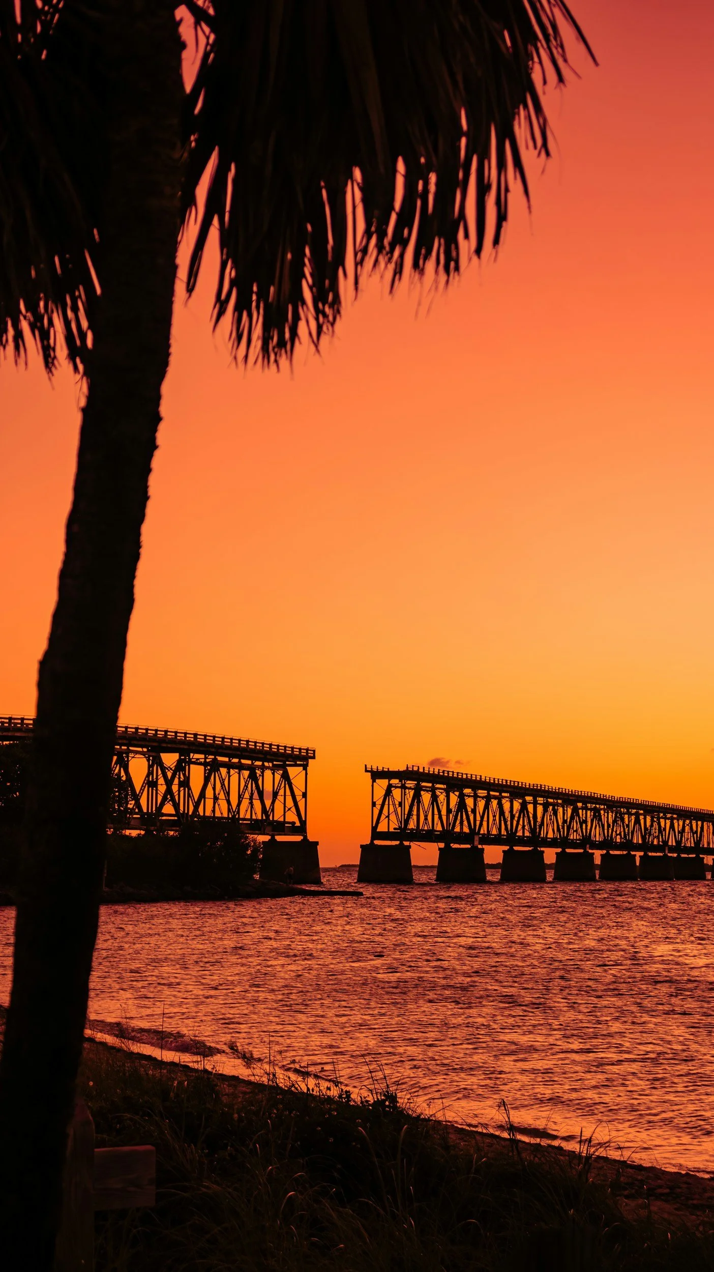 A silhouette of a palm tree in the foreground with a wooden bridge over water at sunset in the background, sky painted with orange and pink hues.