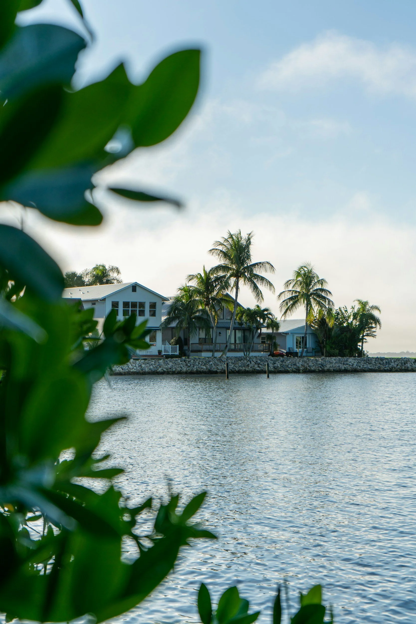 A waterfront view featuring houses with palm trees in a tropical setting, viewed through green leaves with water in the foreground and a partly cloudy sky.