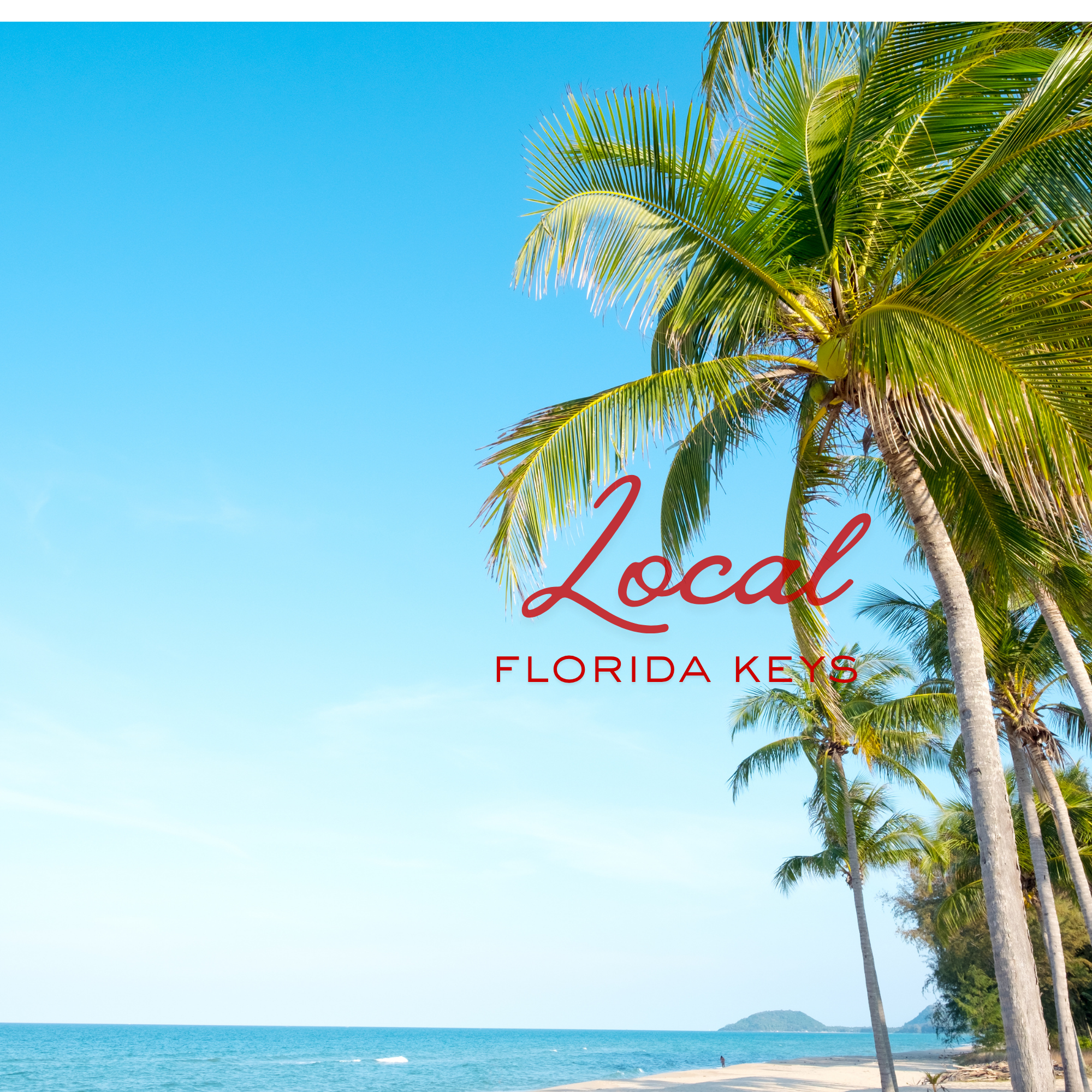Florida Keys local pest control.