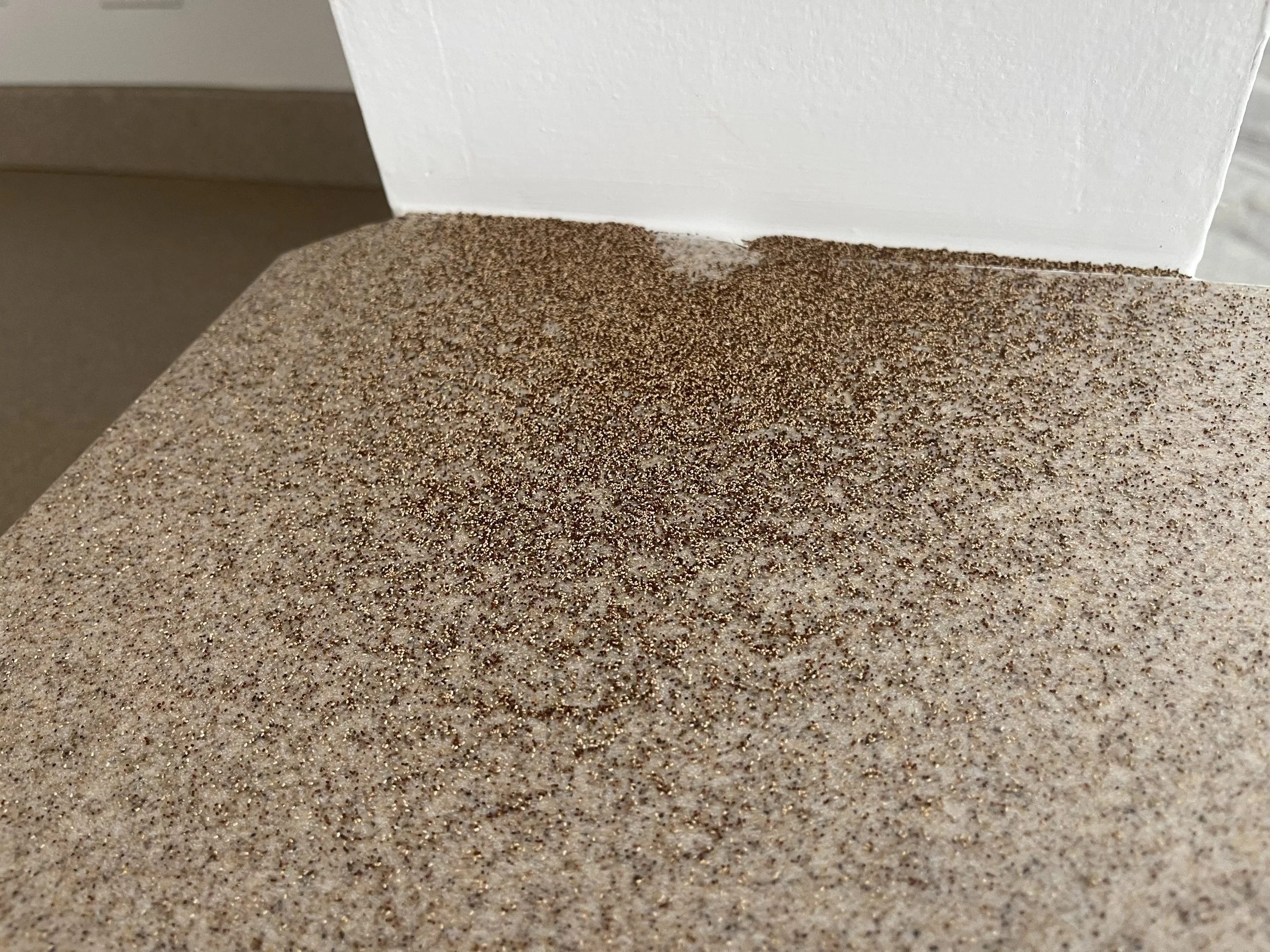 Coffee ground looking droppings on a kitchen counter.