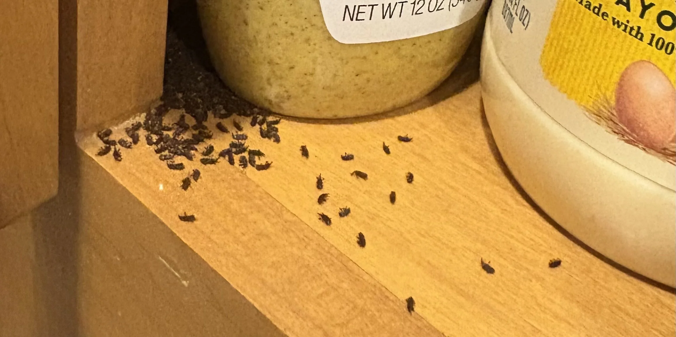 weevils and other pests that can get into packaged food products.