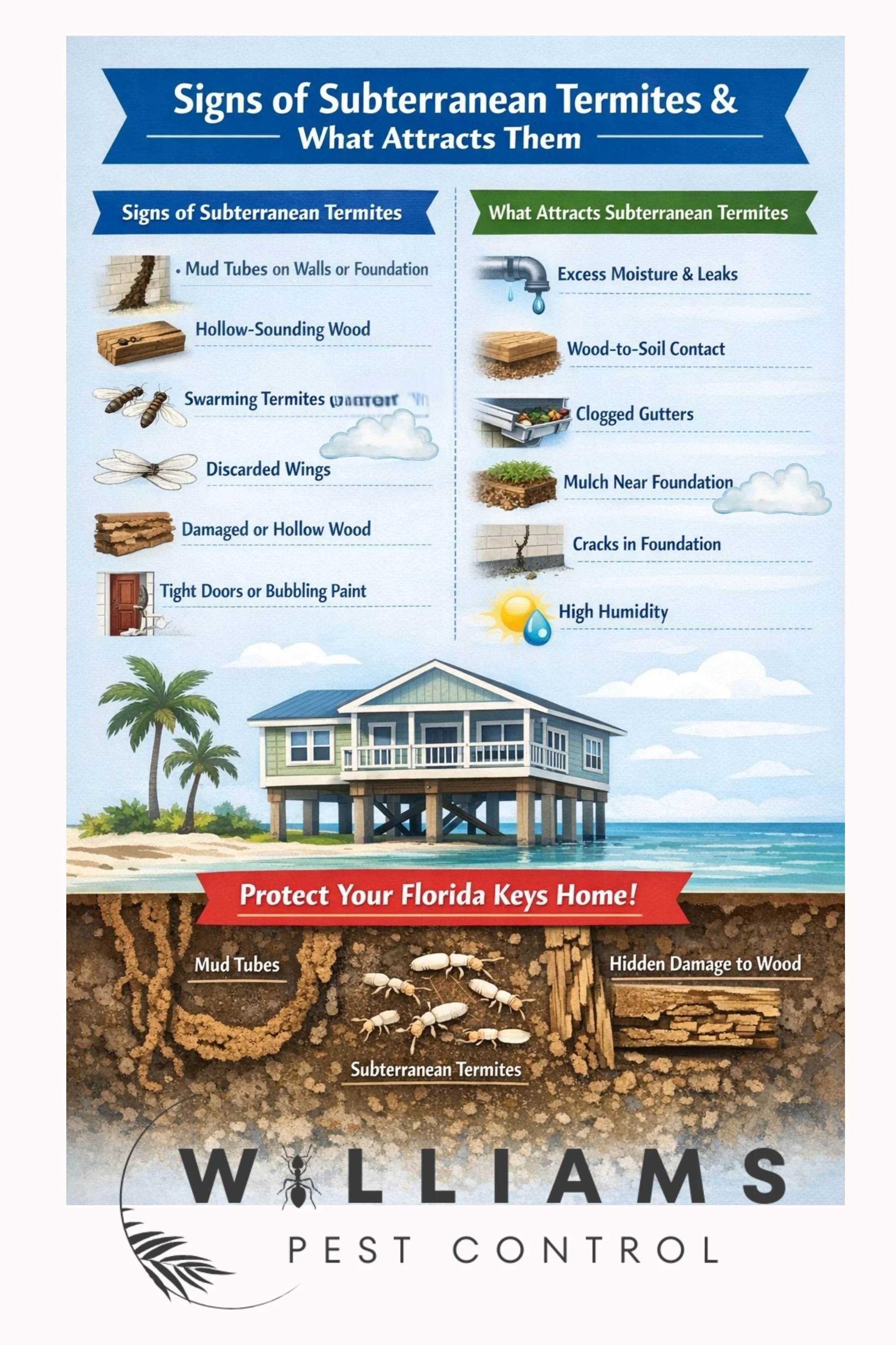 Infographic illustrating signs of subterranean termites and what attracts them, including mud tubes, hollow wood, swarming termites, discarded wings, damaged wood, tight doors, excess moisture, wood-to-soil contact, clogged gutters, mulch near foundation, and cracks in foundation. Also shows a house on stilts, palm trees, and a beach scene at the bottom.