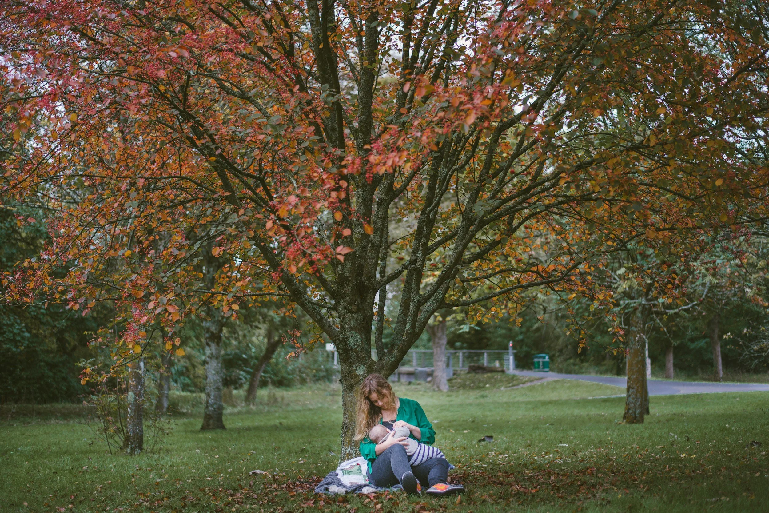 A woman sitting on the grass under a large tree with orange and red autumn leaves, breastfeeding a baby.