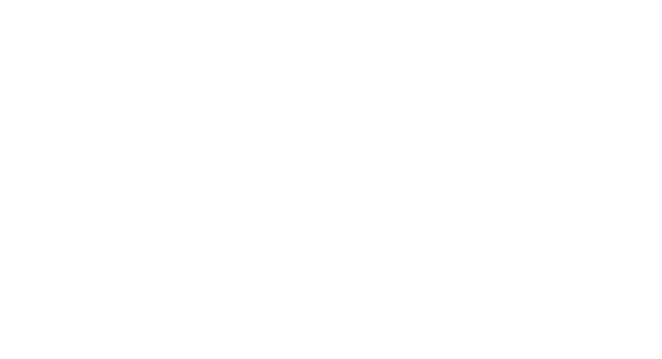 Felix, Partners in Talent and Organizational Excellence Logo