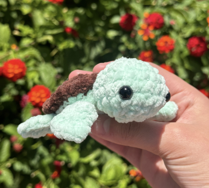 Mini Sea Turtle