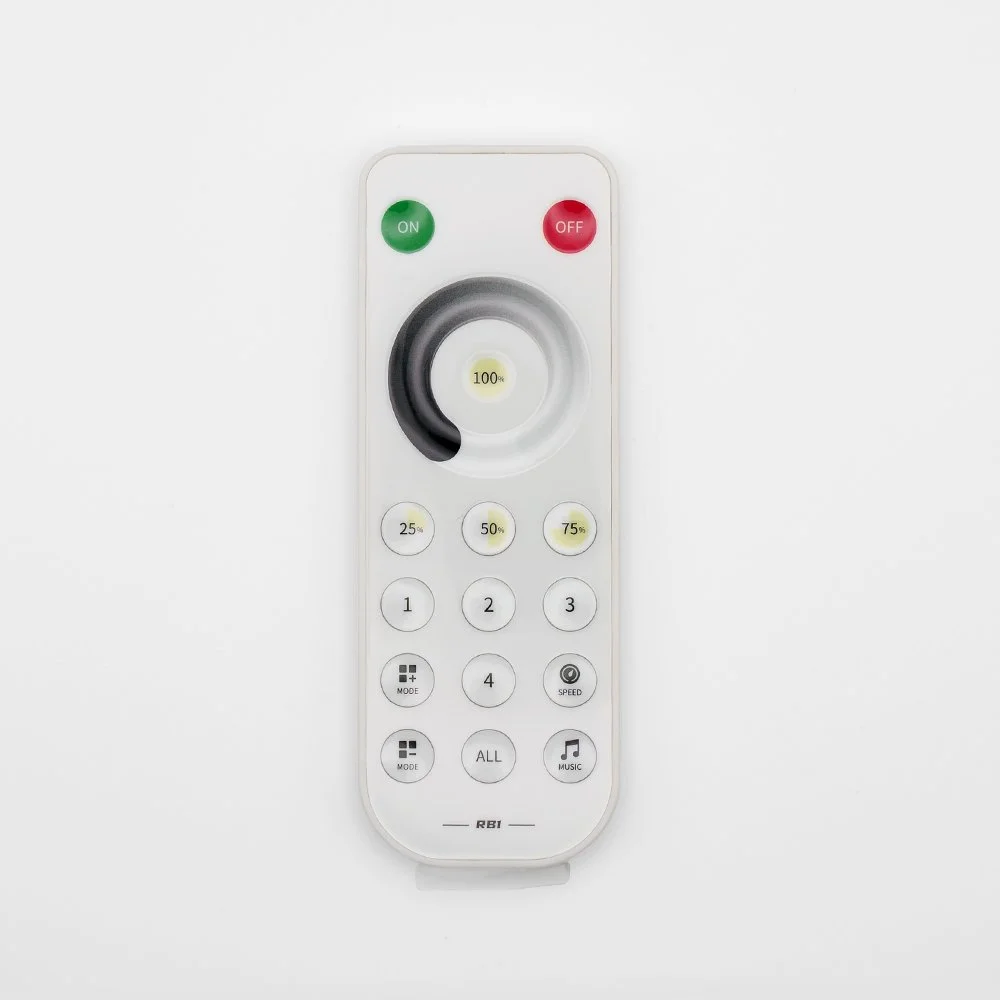 RC1 Single Colour Remote