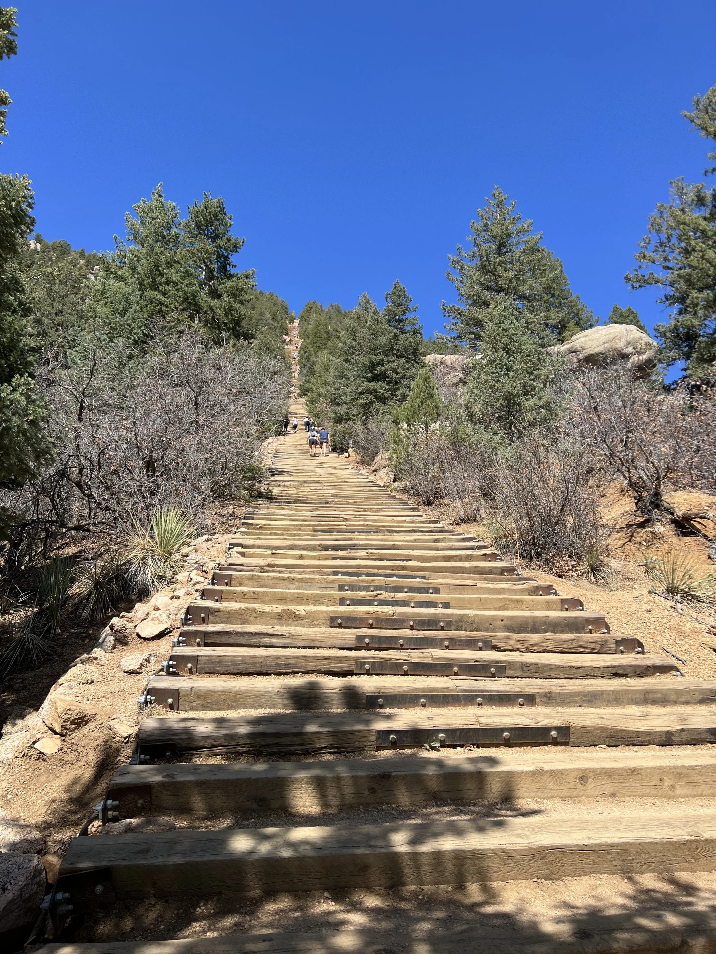 Wooden stairs ascending a mountain trail with trees and bushes on the sides, under a clear blue sky.