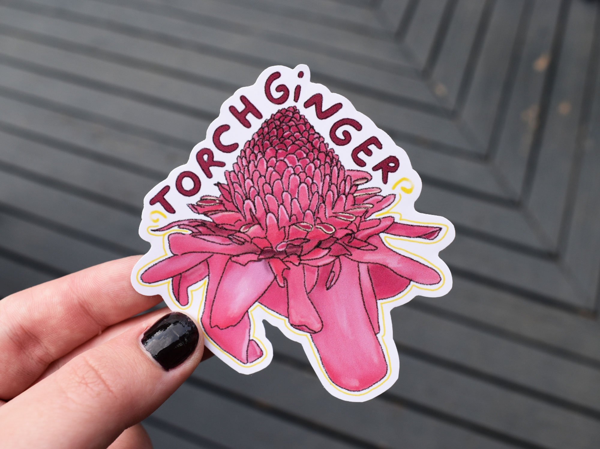 Torch Ginger Sticker