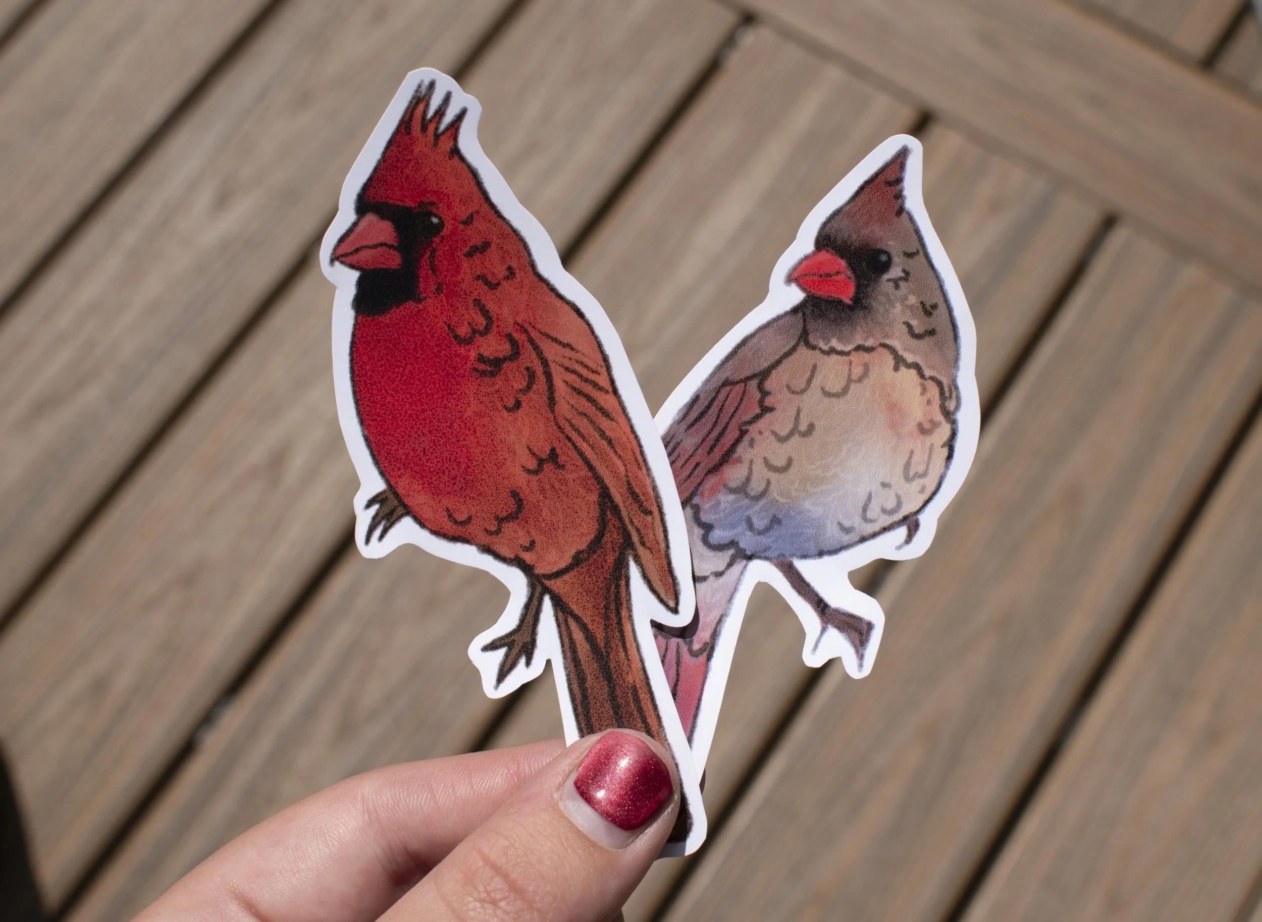 Northern Cardinal Stickers