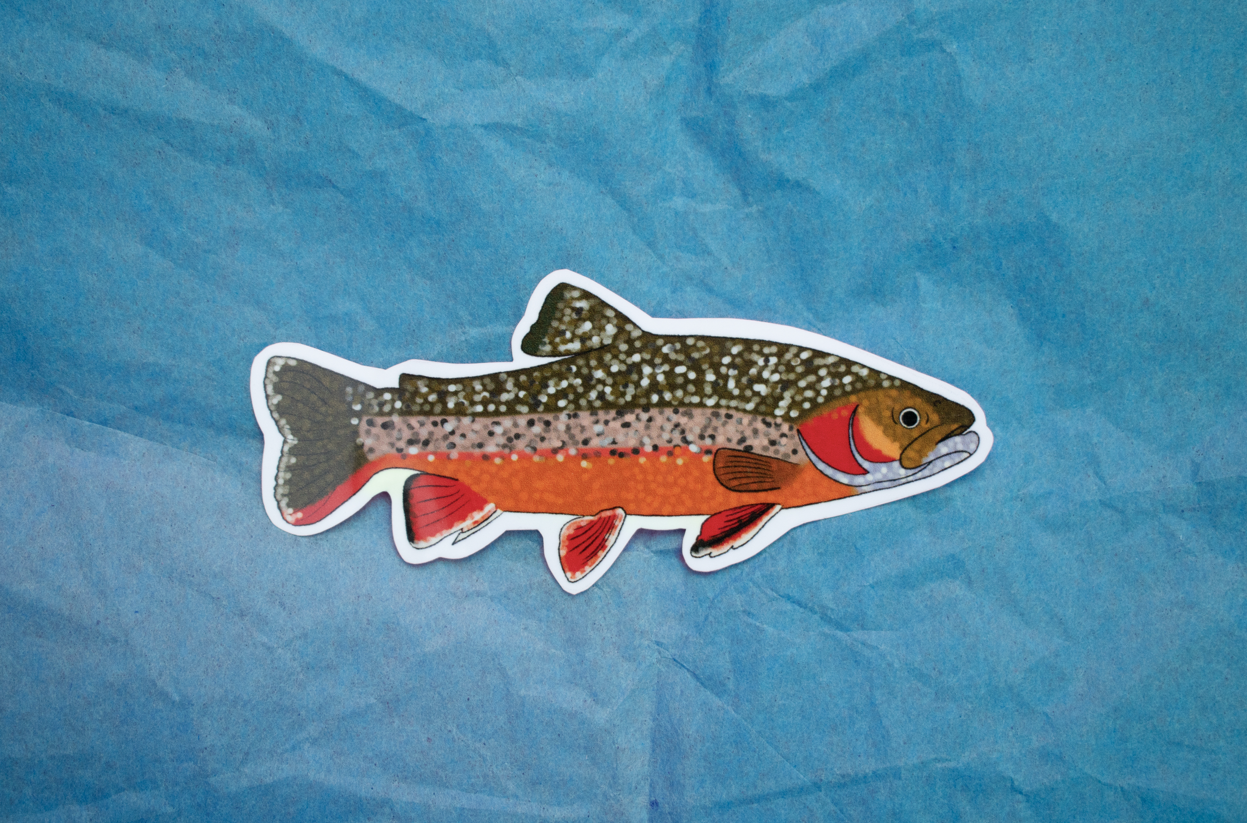 Rainbow Trout Sticker