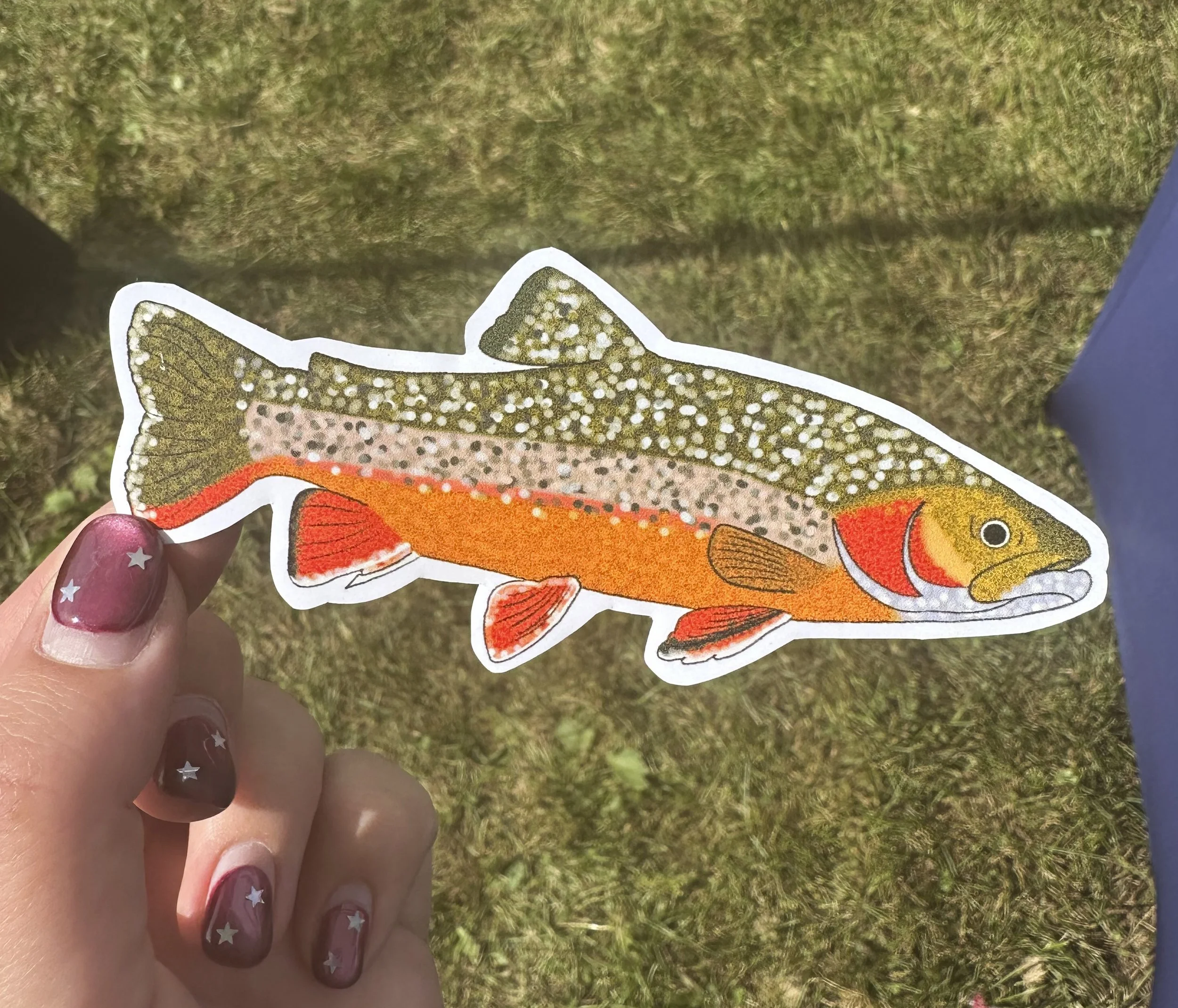 Rainbow Trout Sticker