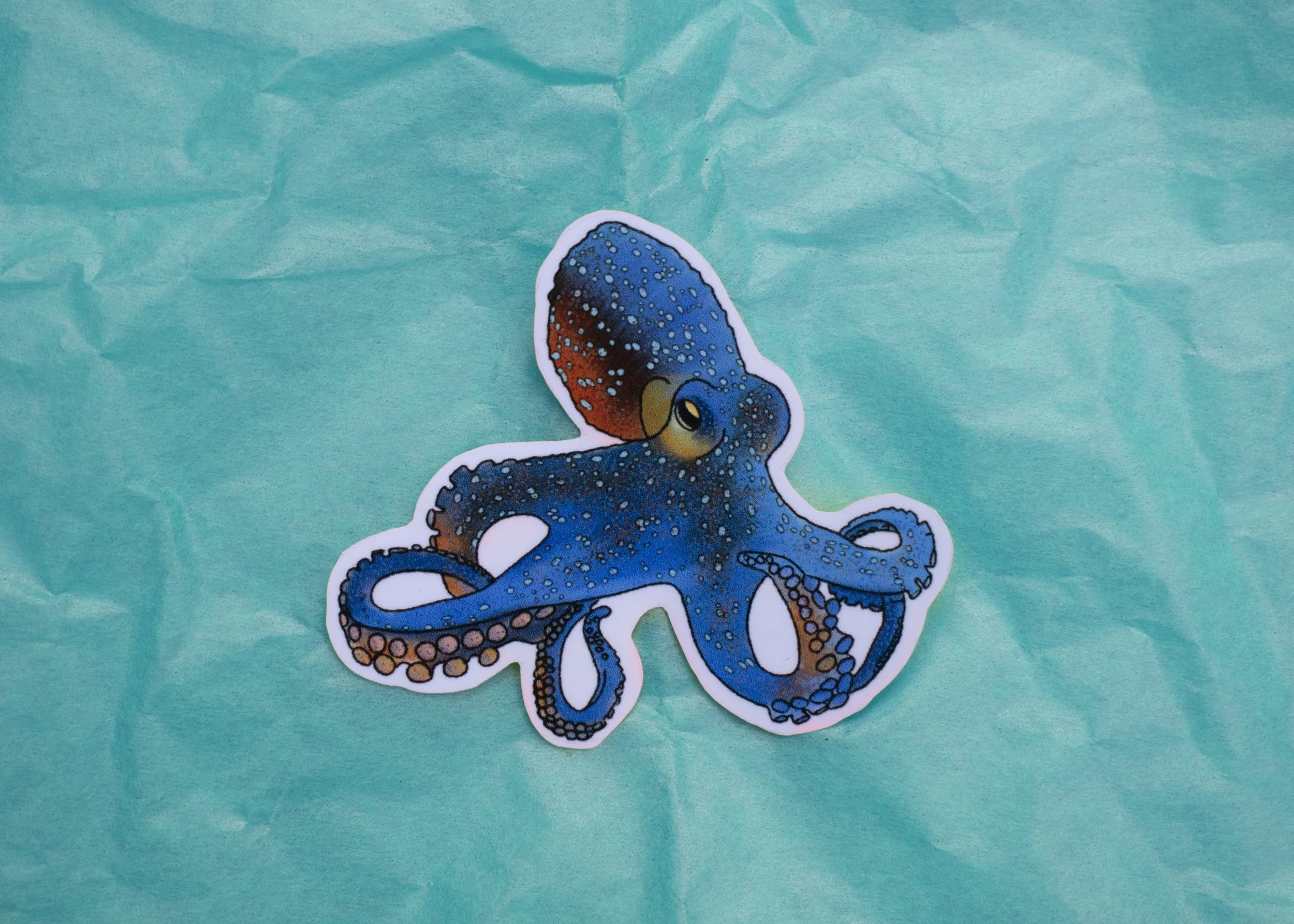 Blue-Ringed Octopus Sticker