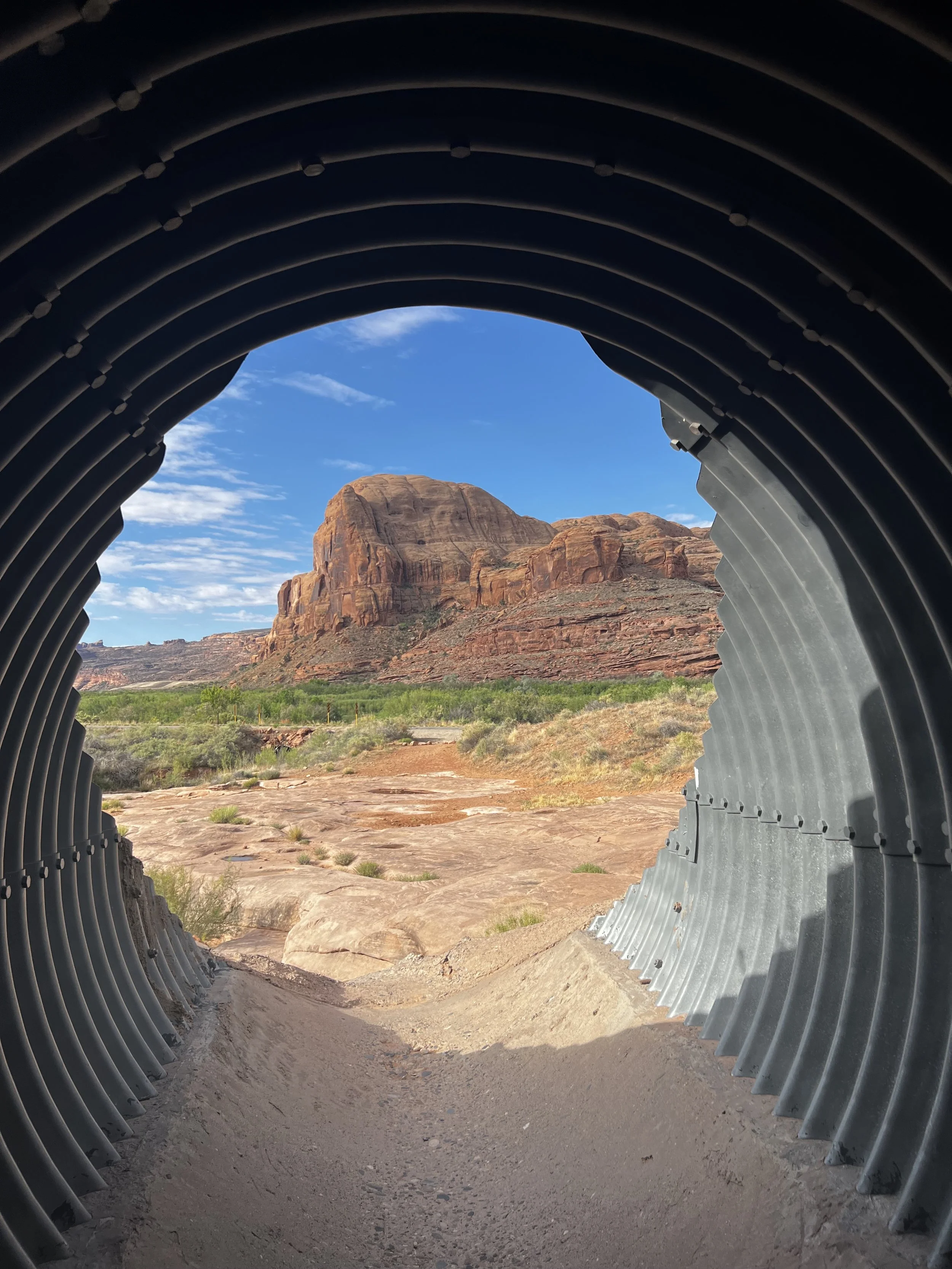 Lifestyle Medicine in Moab | Spring Wellness Newsletter | Elevated Health Moab