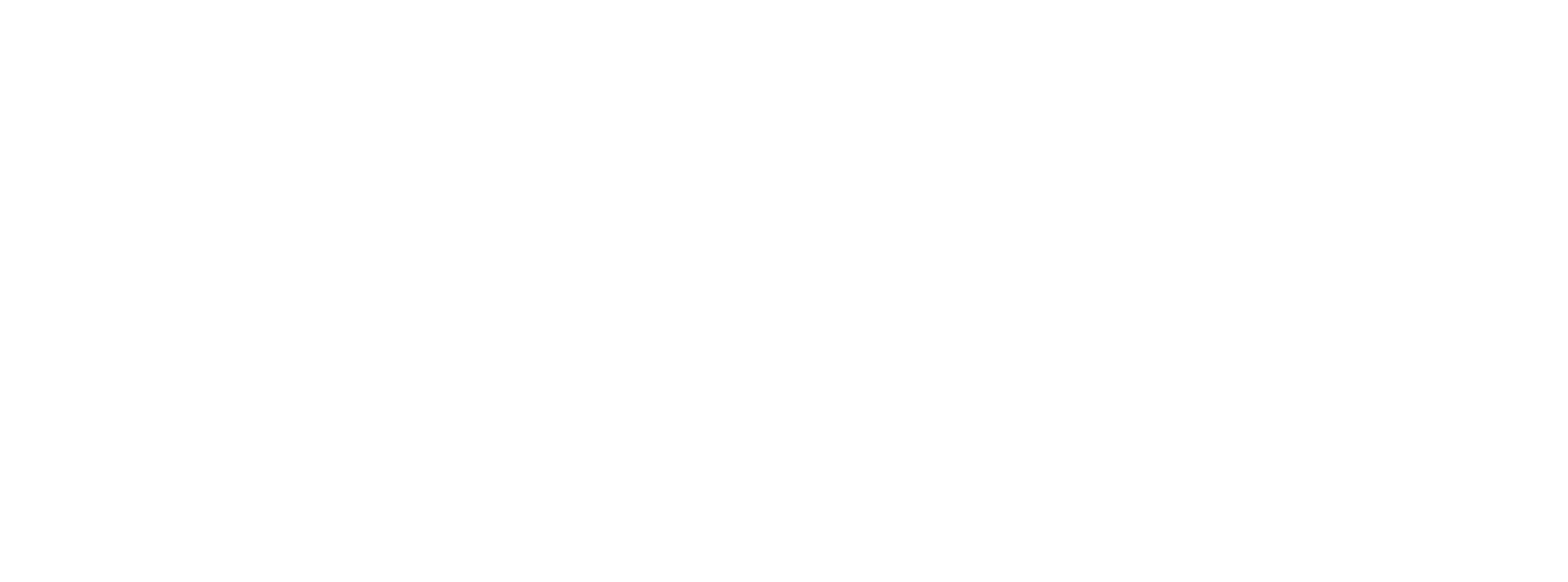 Ford Logo