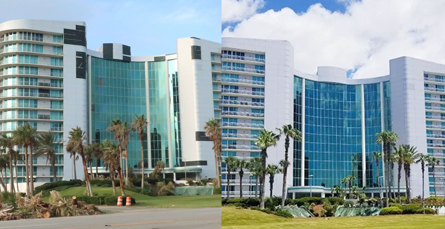 Bella Luna Before and After