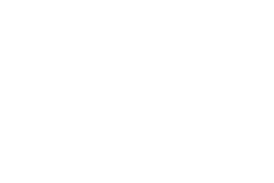 Ford Logo