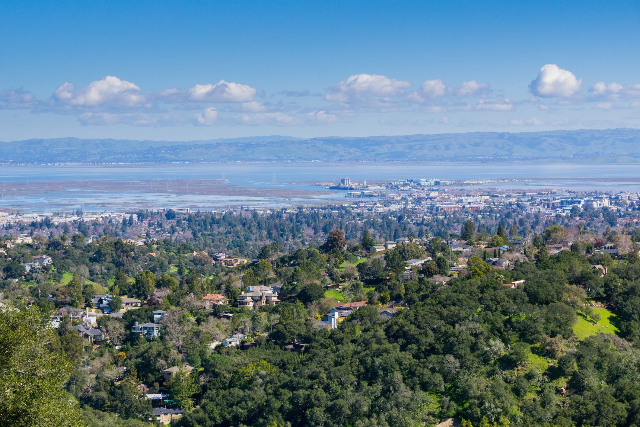 Redwood City to Vote on Rent Control in November