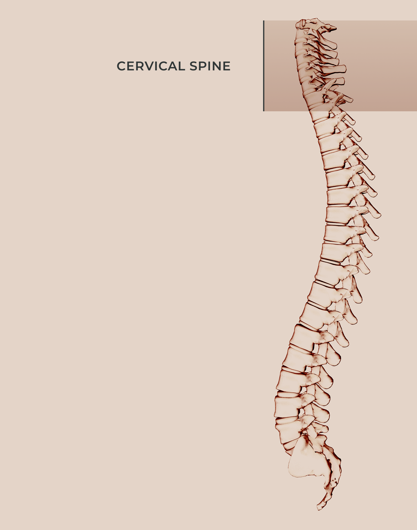 cervical spine full