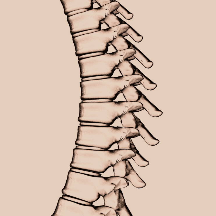 thoracic close-up