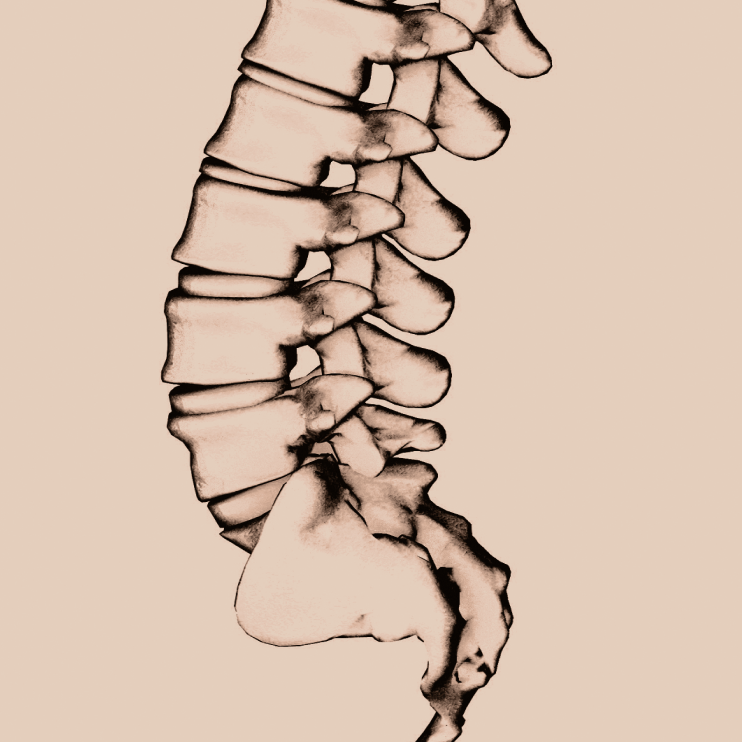 lumbar close-up
