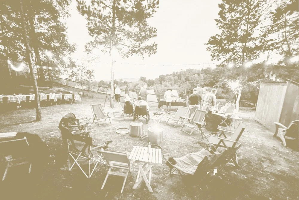 Outdoor gathering with people around tables and chairs, some standing and some sitting, in a backyard with trees, a fence, and a shed.
